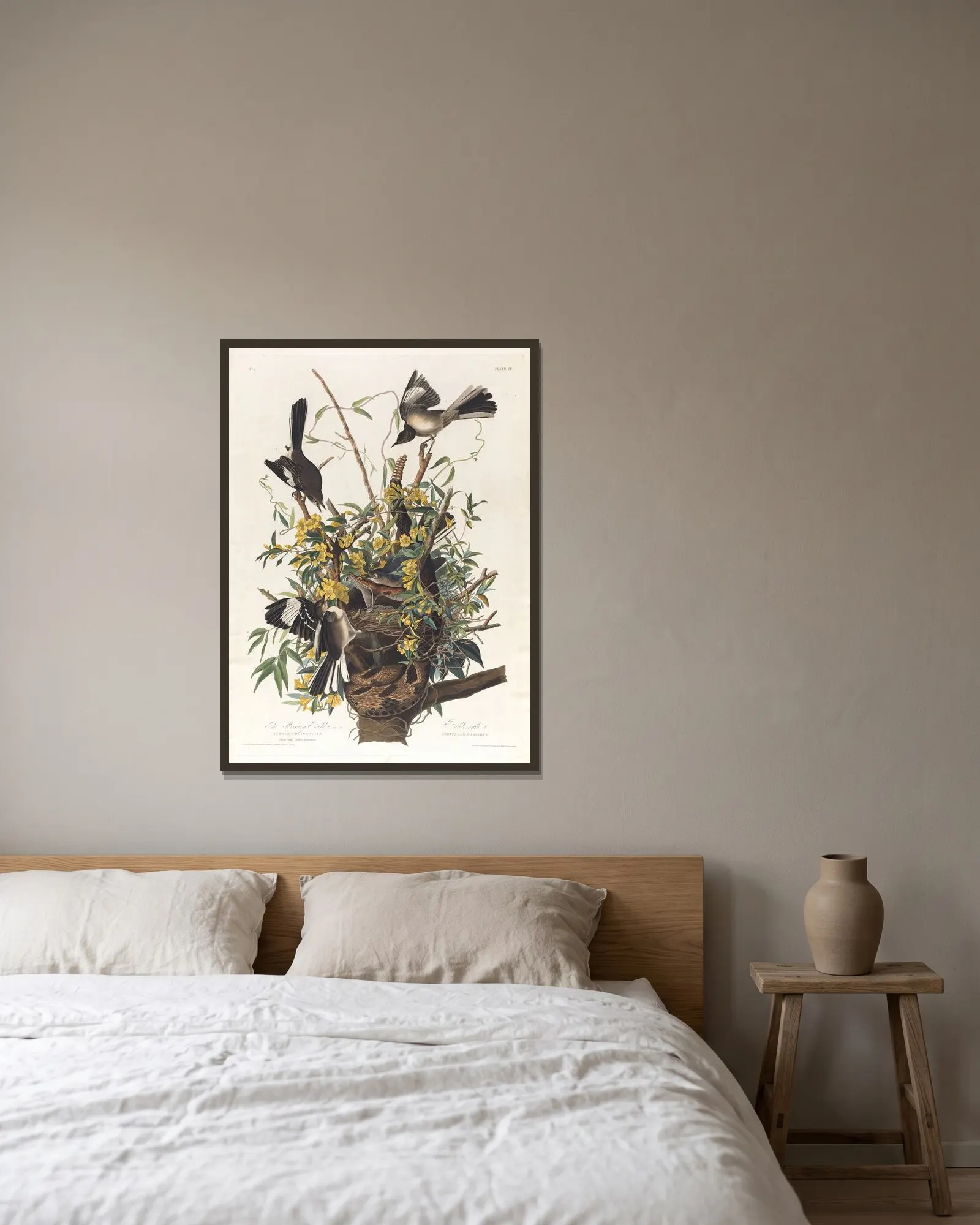 The mocking bird av John James Audubon inramad på en vägg
