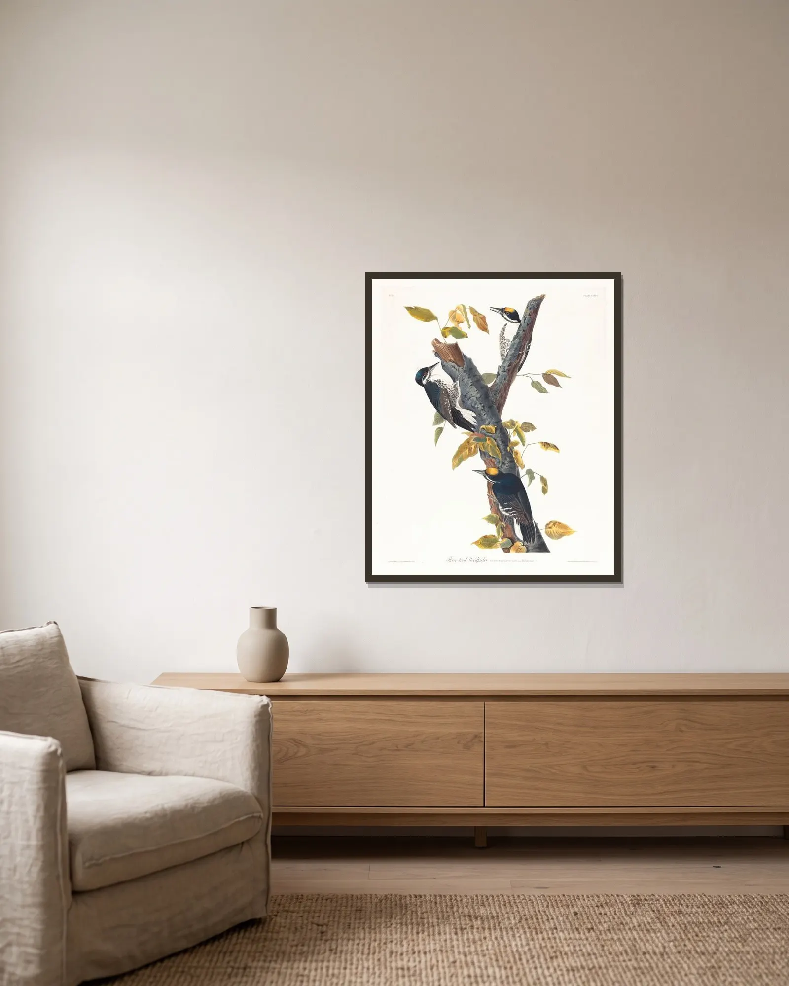 Three-toed woodpecker av John James Audubon inramad på en vägg