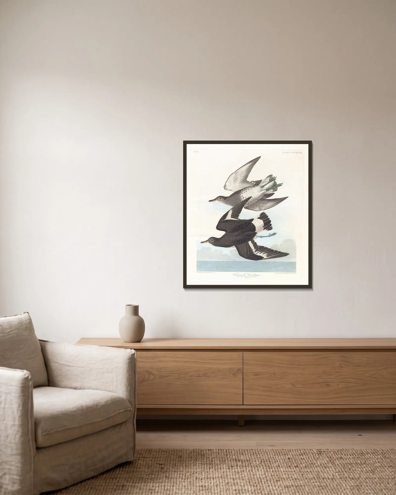 Townsend’s sandpiper av John James Audubon inramad på en vägg