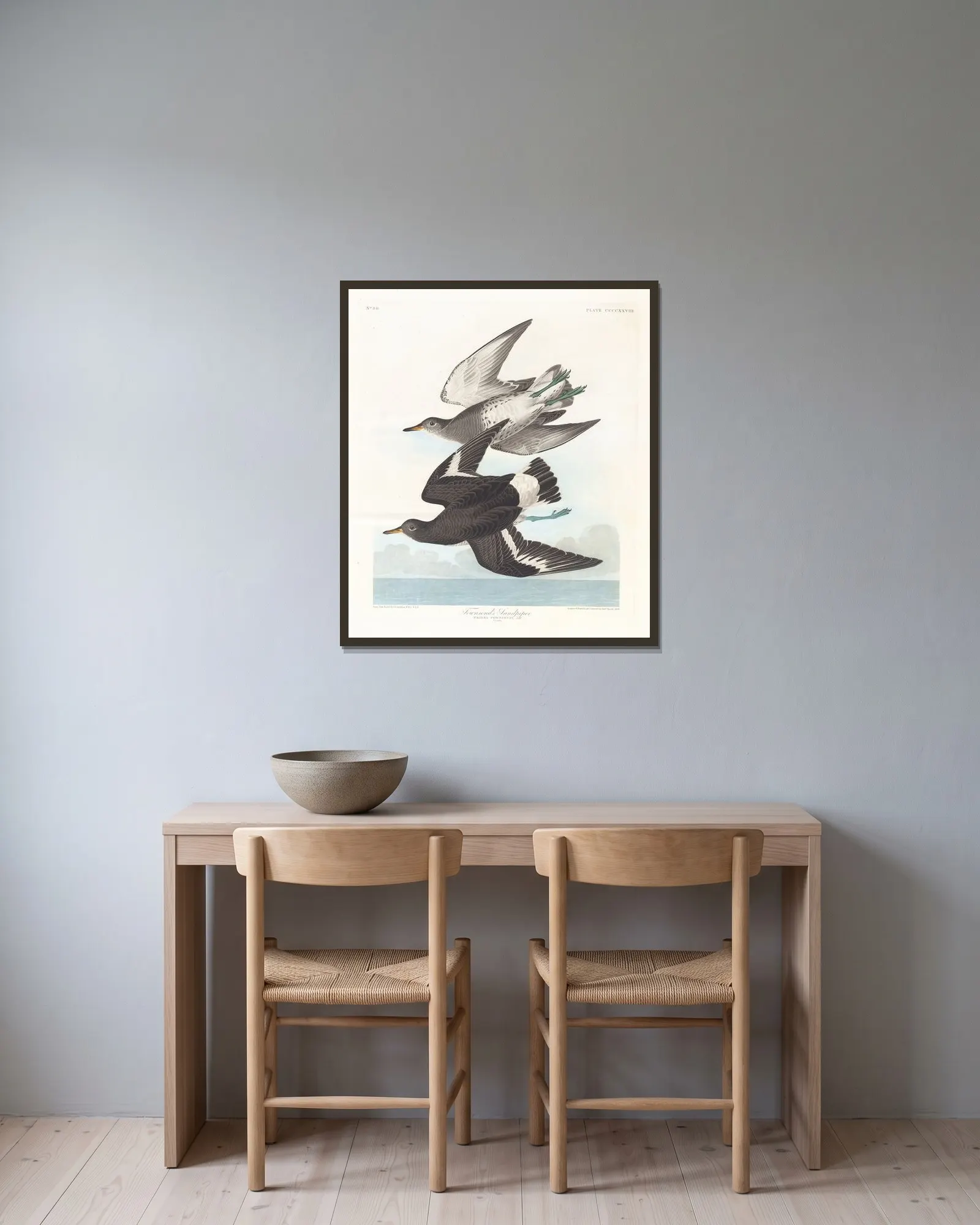 Townsend’s sandpiper av John James Audubon inramad på en vägg
