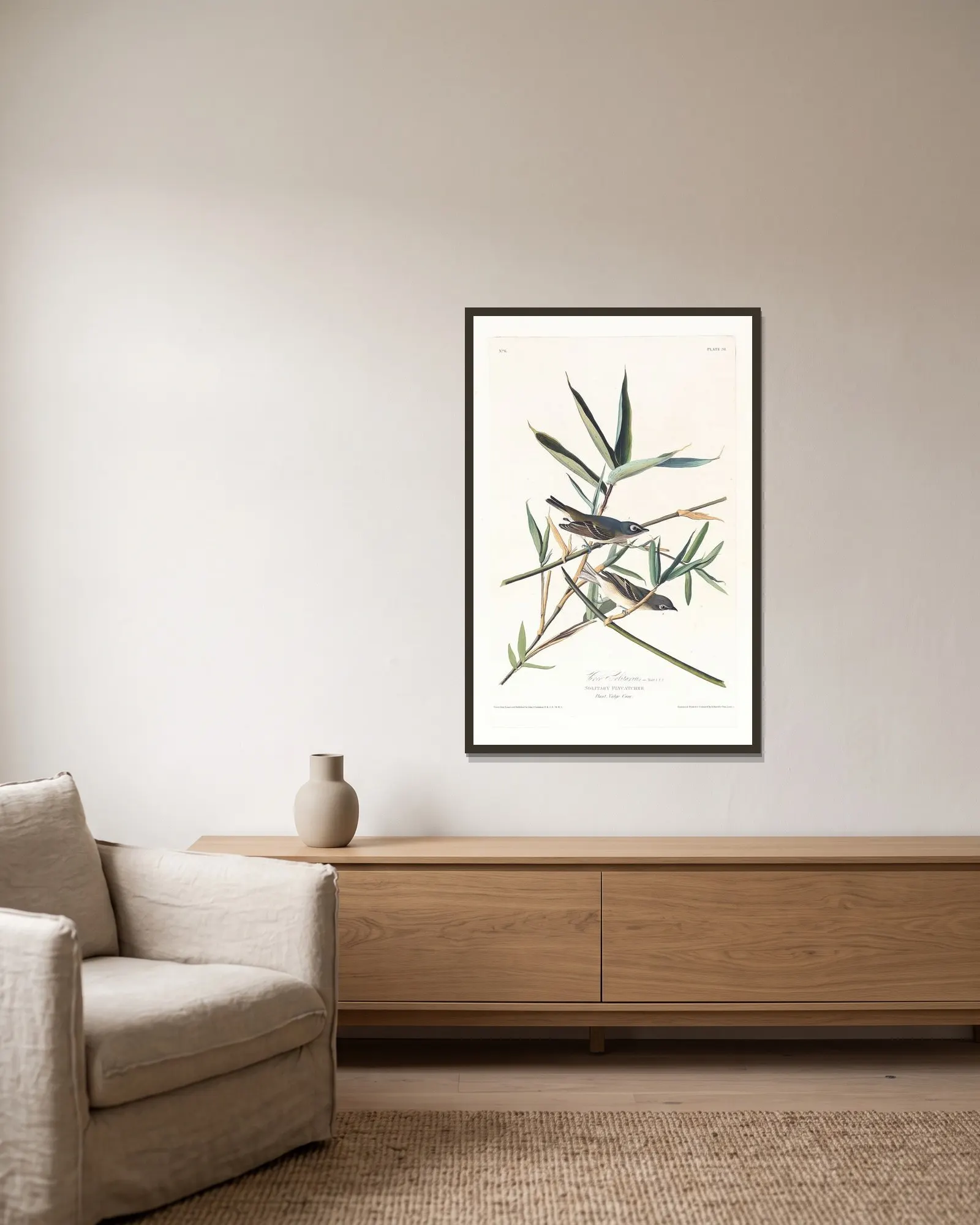 Vireo solitarius av John James Audubon inramad på en vägg