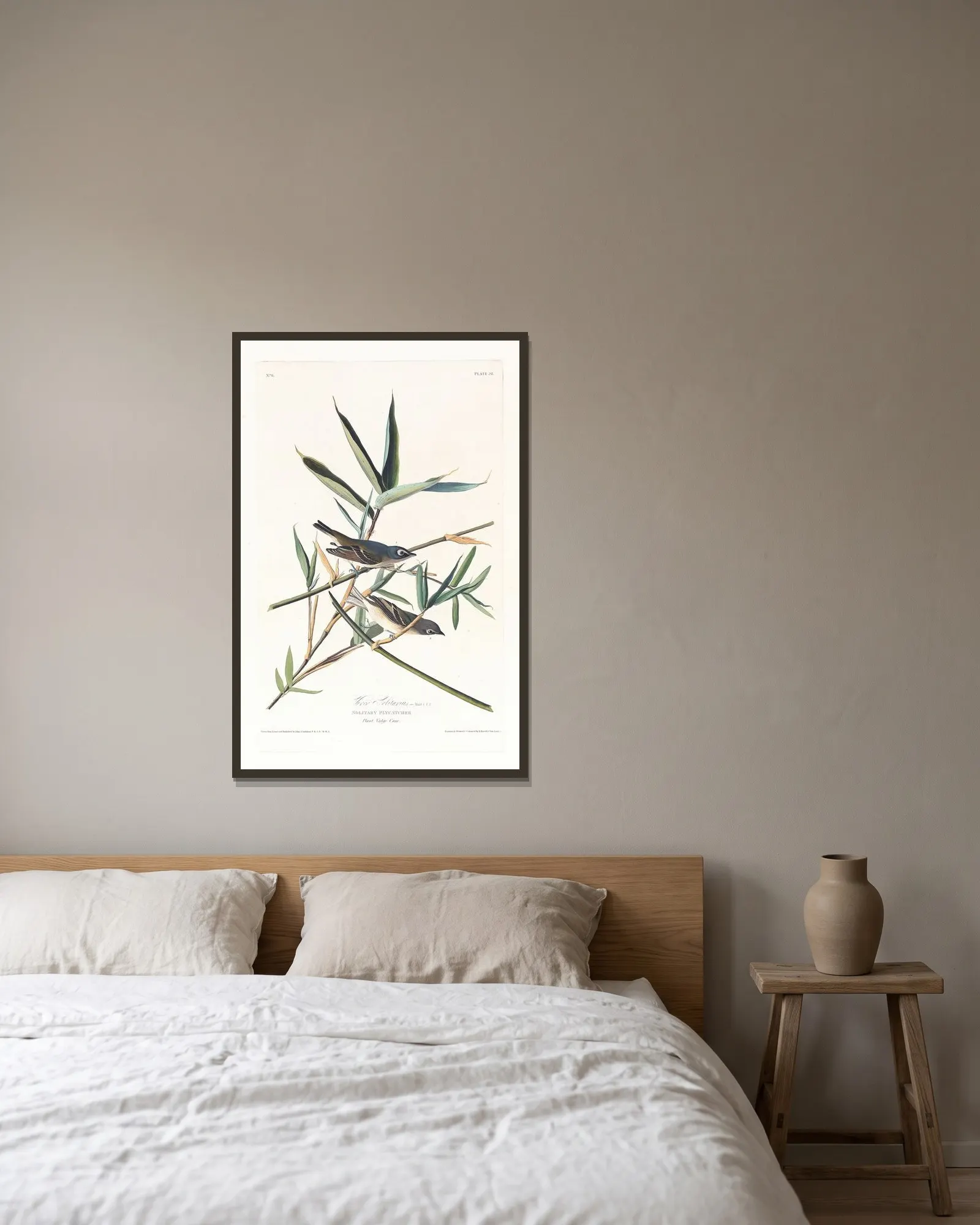 Vireo solitarius av John James Audubon inramad på en vägg