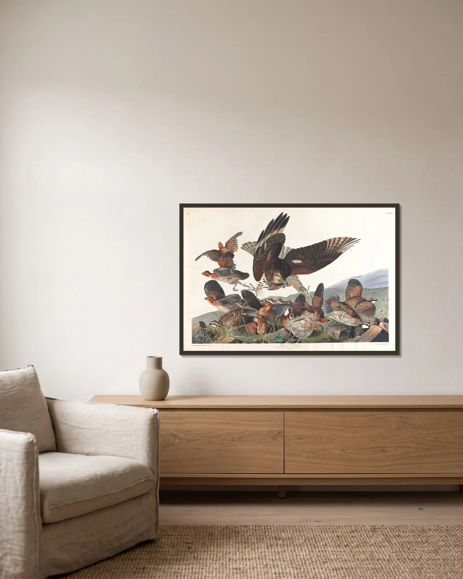 Virginian partridge av John James Audubon inramad på en vägg