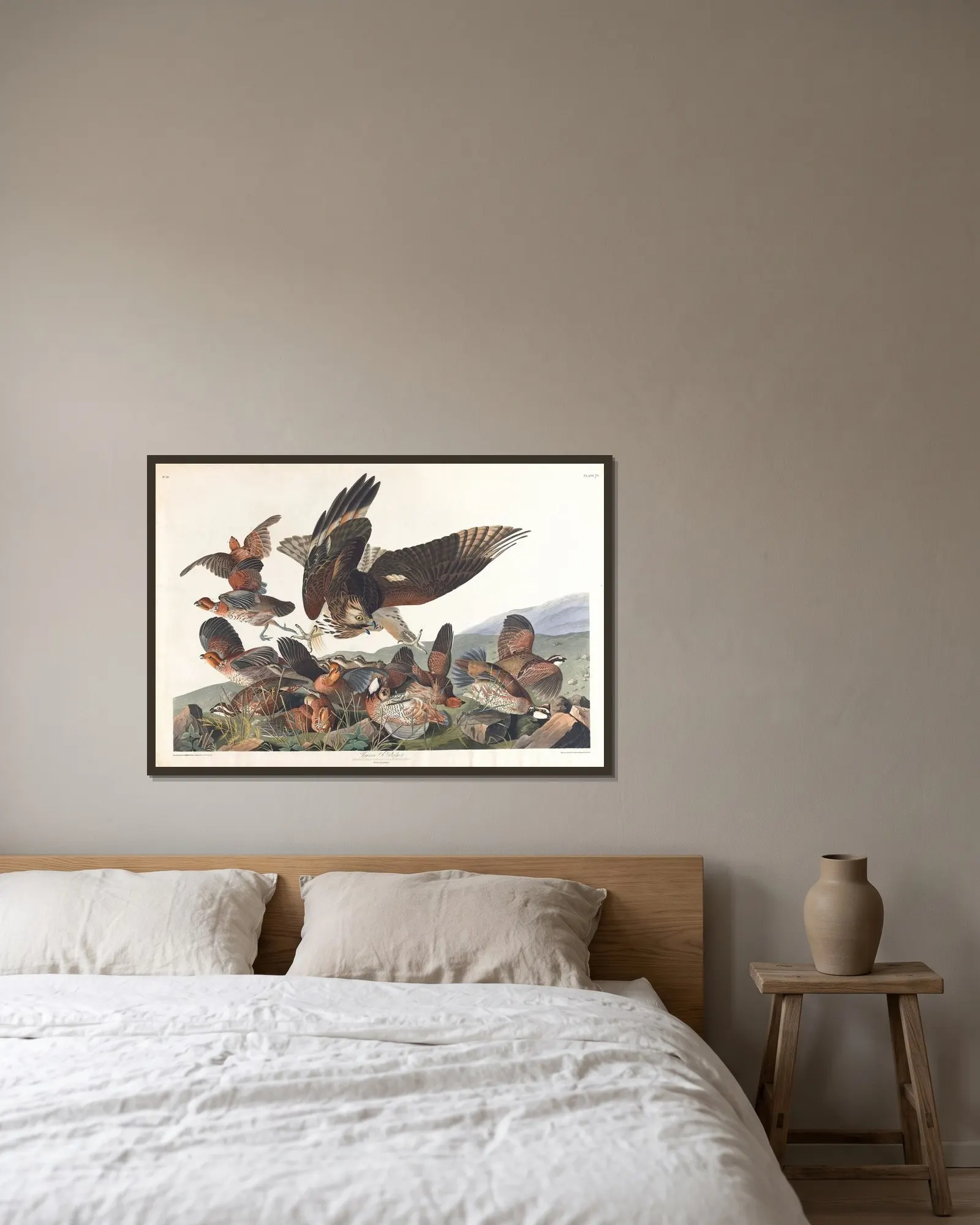 Virginian partridge av John James Audubon inramad på en vägg