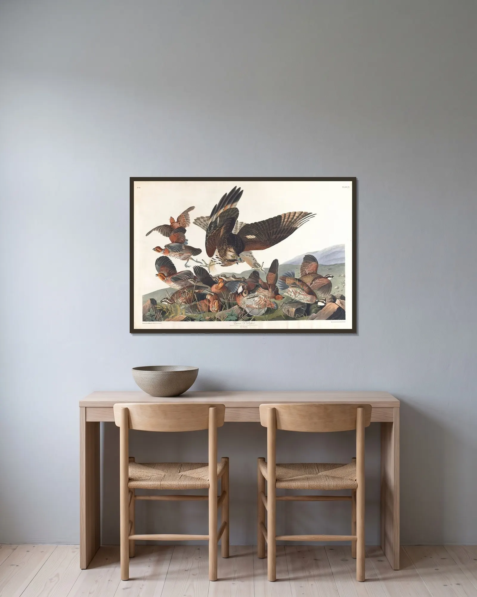 Virginian partridge av John James Audubon inramad på en vägg