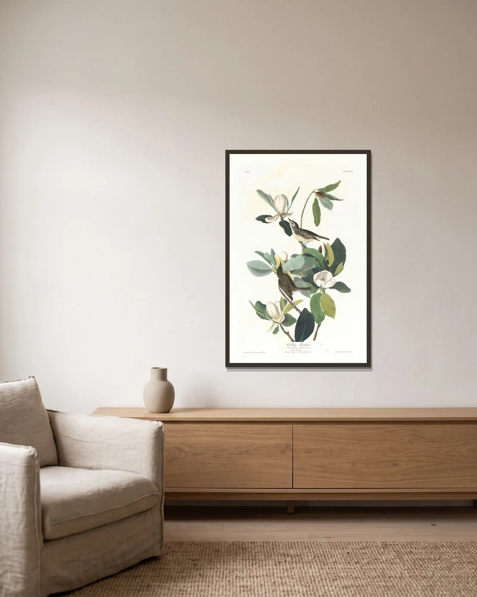 Warbling flycatcher av John James Audubon inramad på en vägg