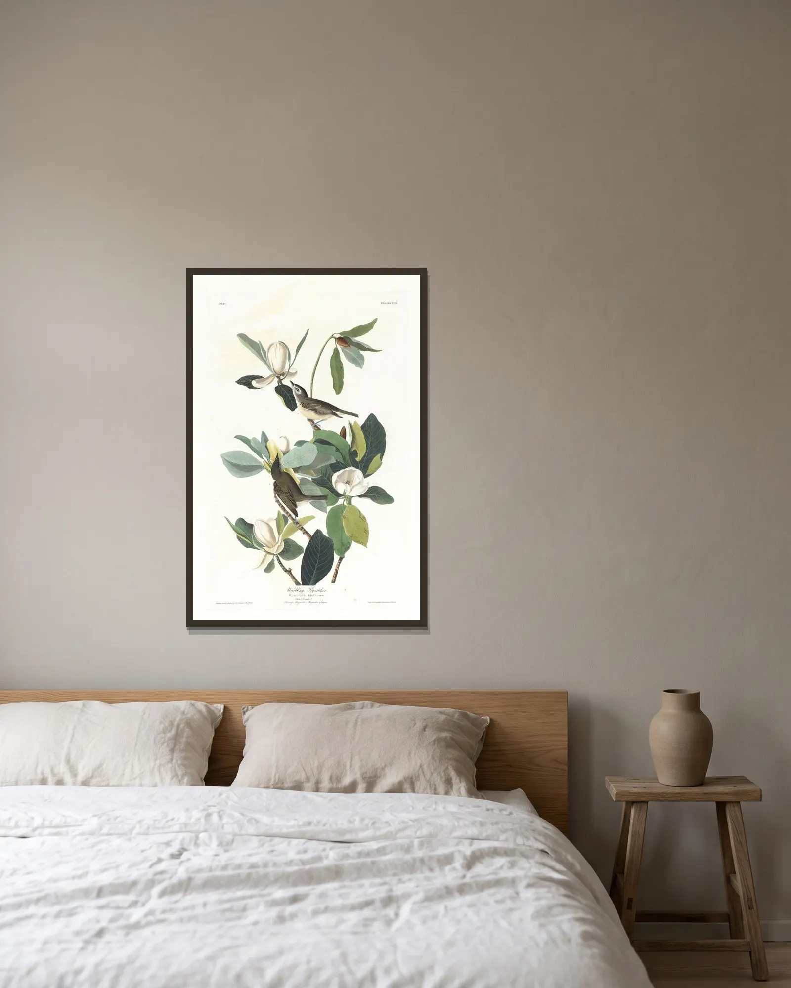 Warbling flycatcher av John James Audubon inramad på en vägg