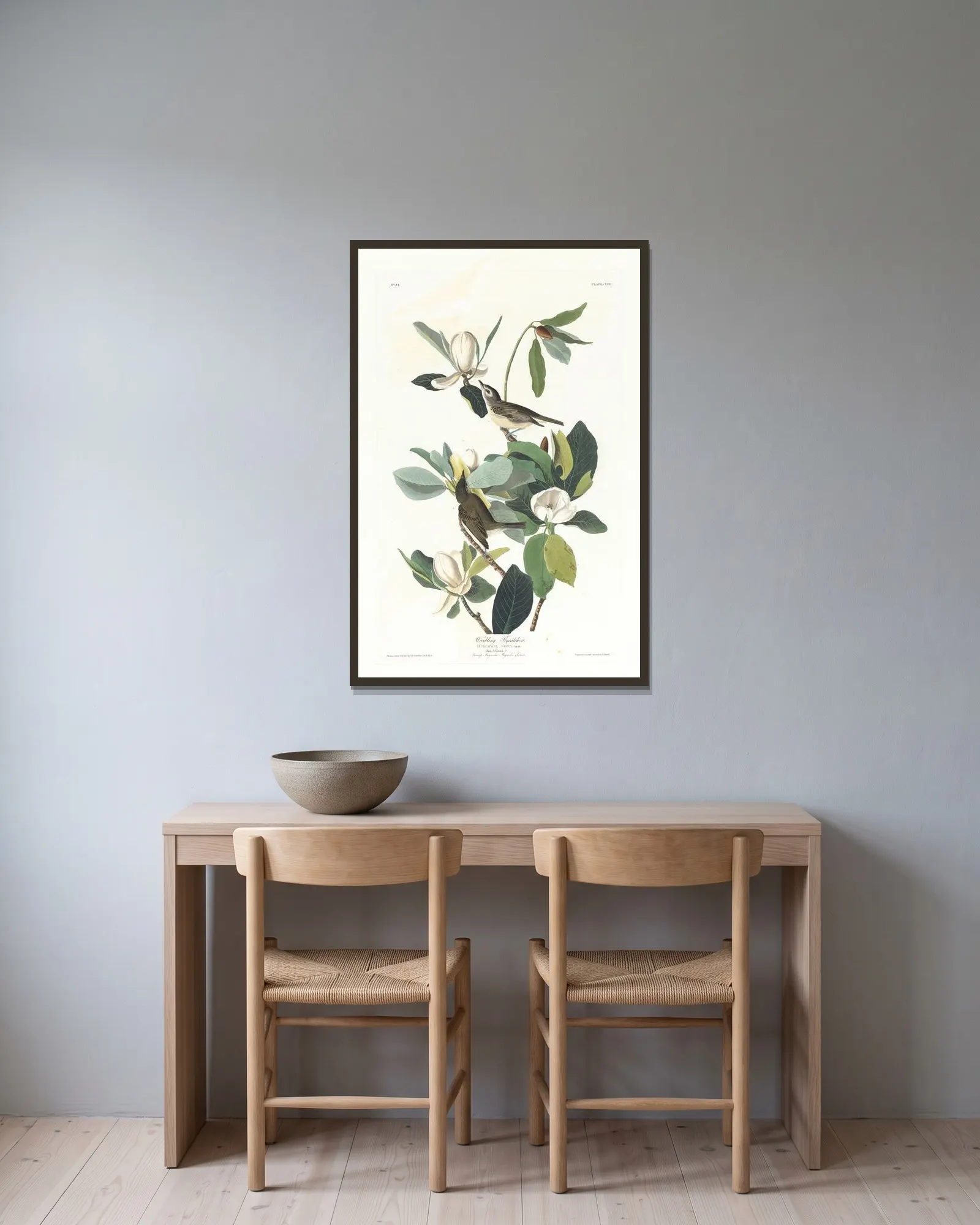 Warbling flycatcher av John James Audubon inramad på en vägg