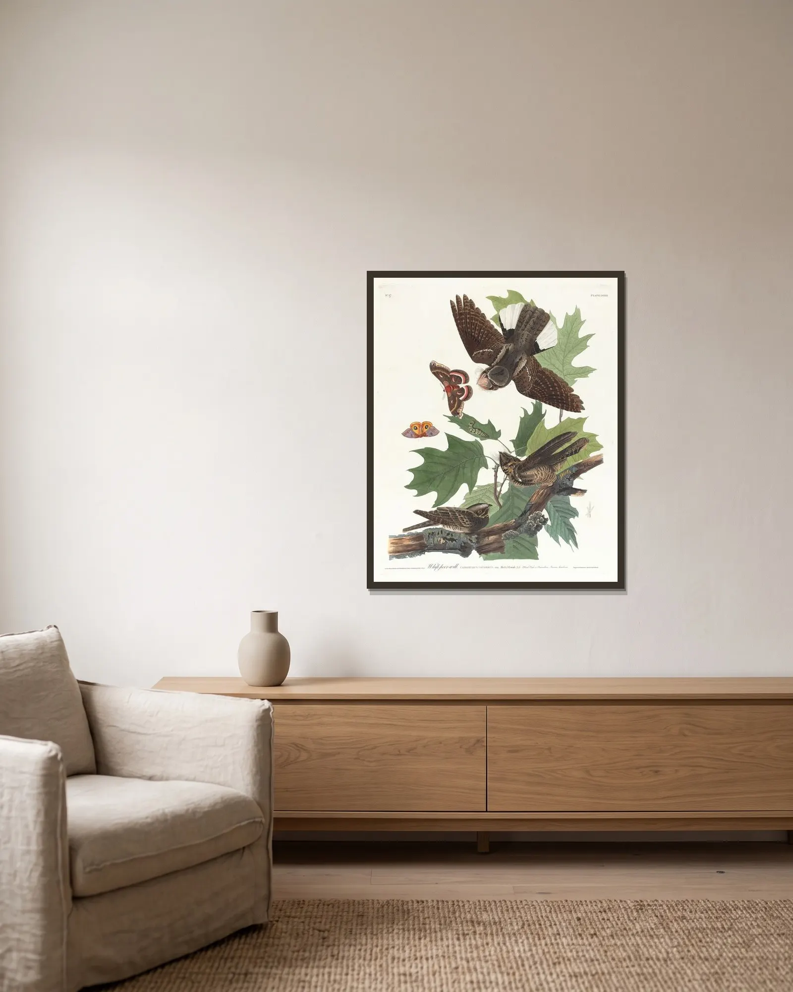 Whip-poor-will av John James Audubon inramad på en vägg