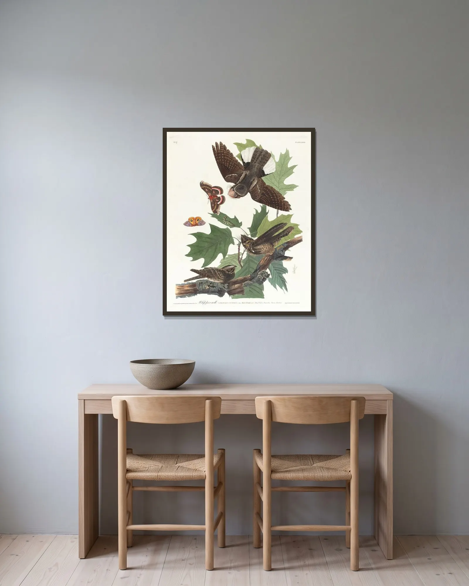 Whip-poor-will av John James Audubon inramad på en vägg