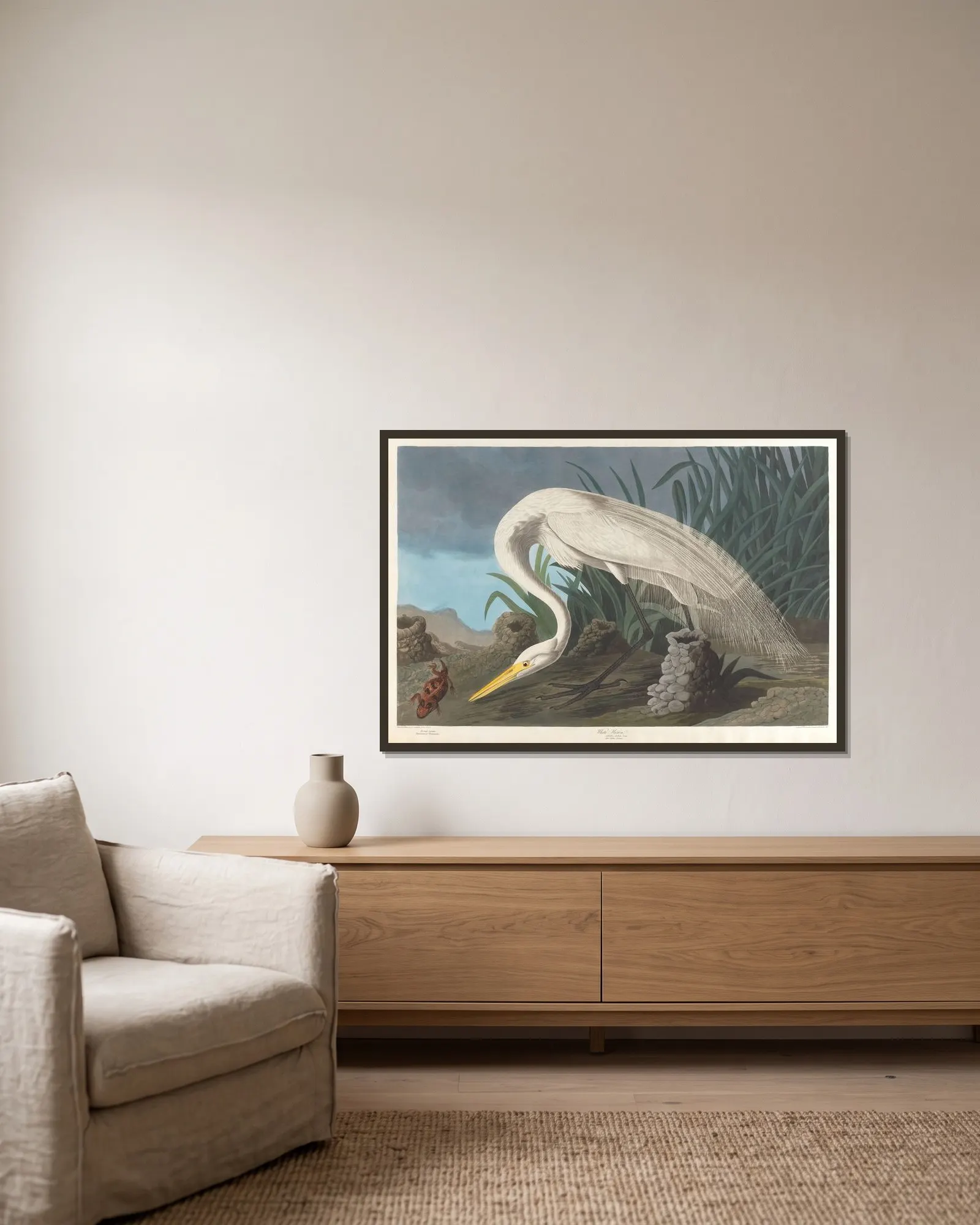 White heron av John James Audubon inramad på en vägg