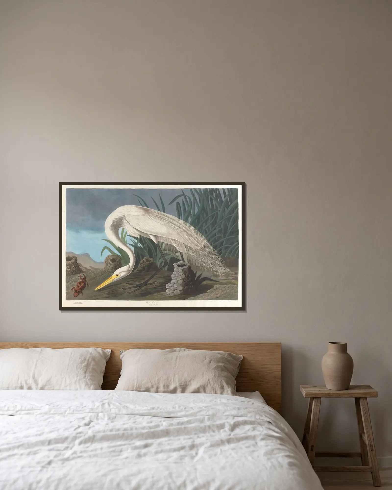 White heron av John James Audubon inramad på en vägg