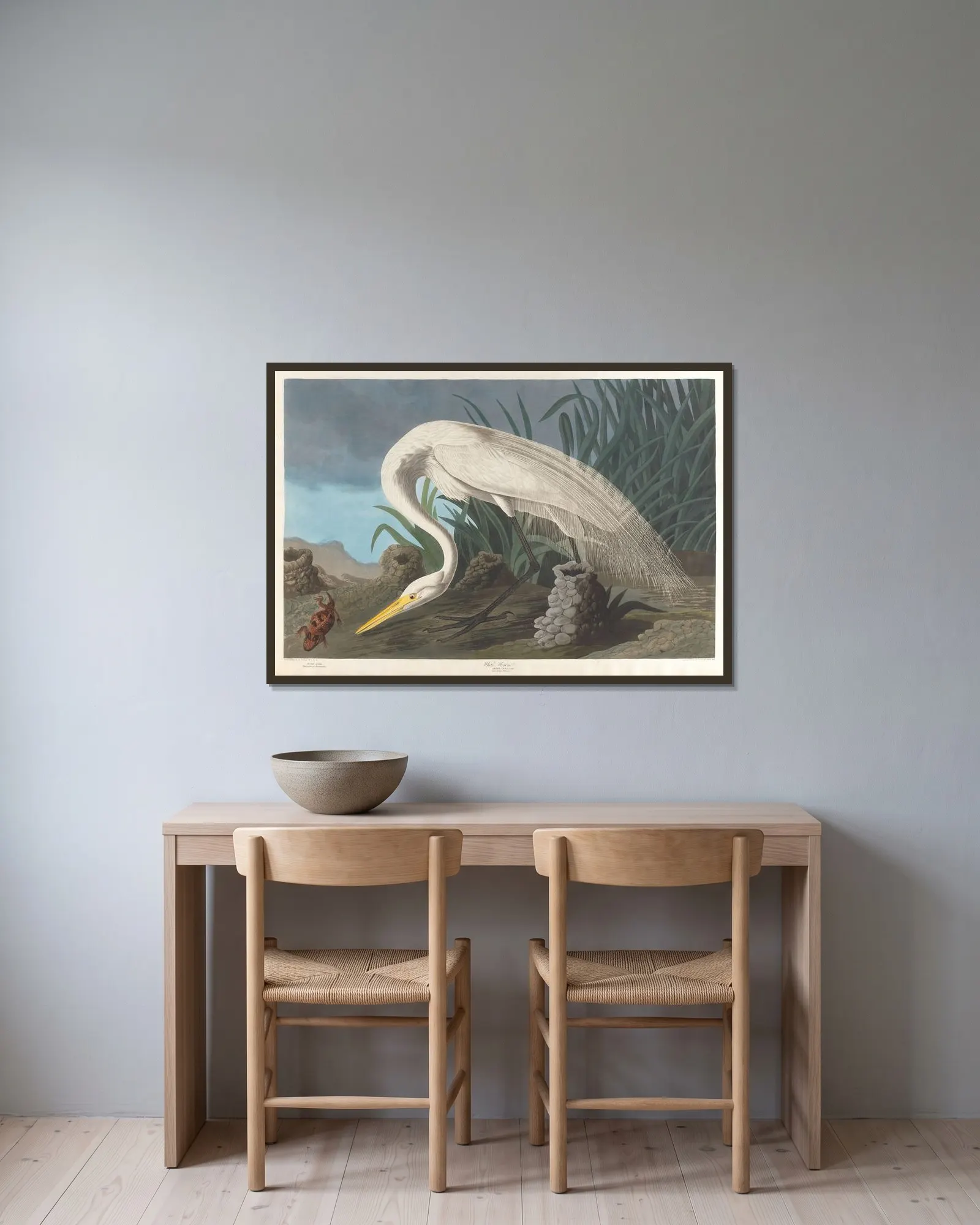 White heron av John James Audubon inramad på en vägg