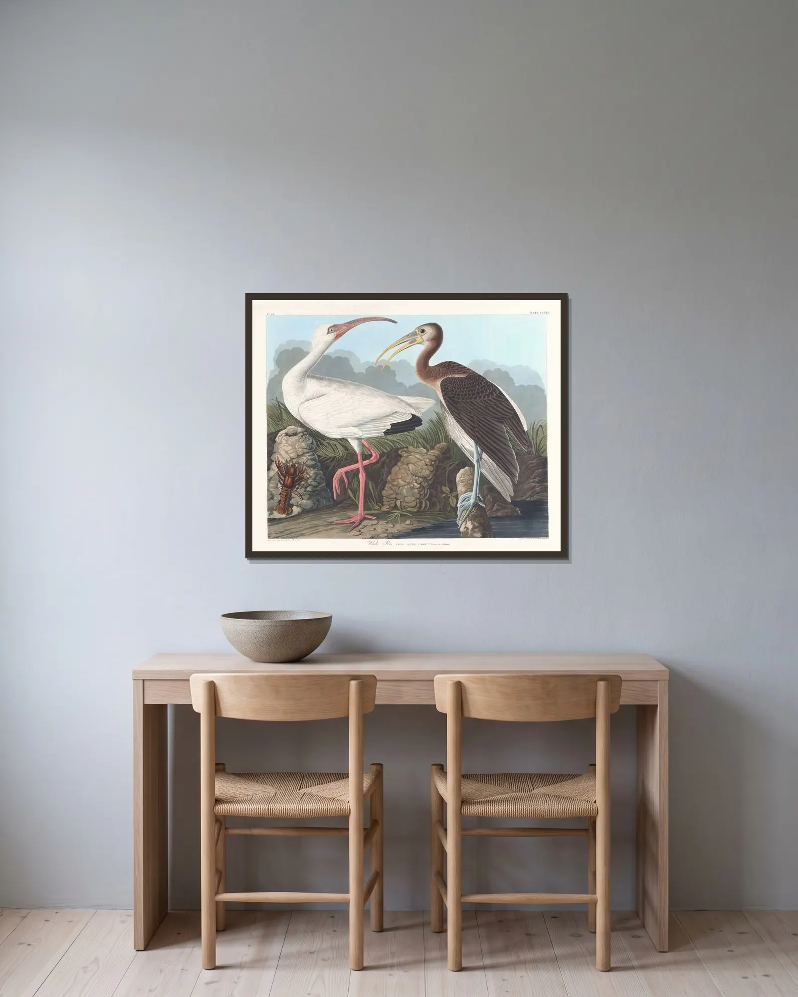 White ibis av John James Audubon inramad på en vägg