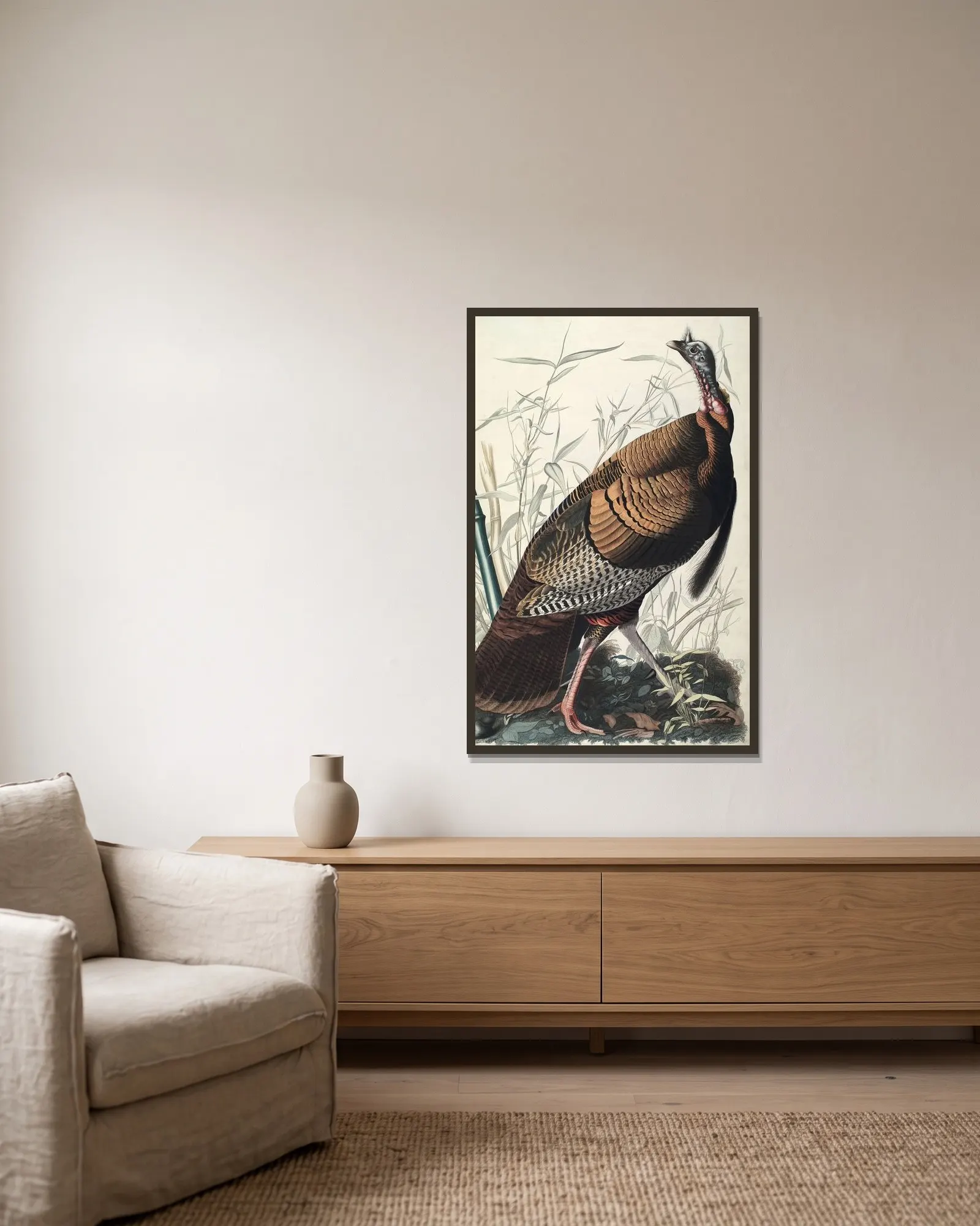 Wild Turkey, 1827 – nr 2 av John James Audubon inramad på en vägg