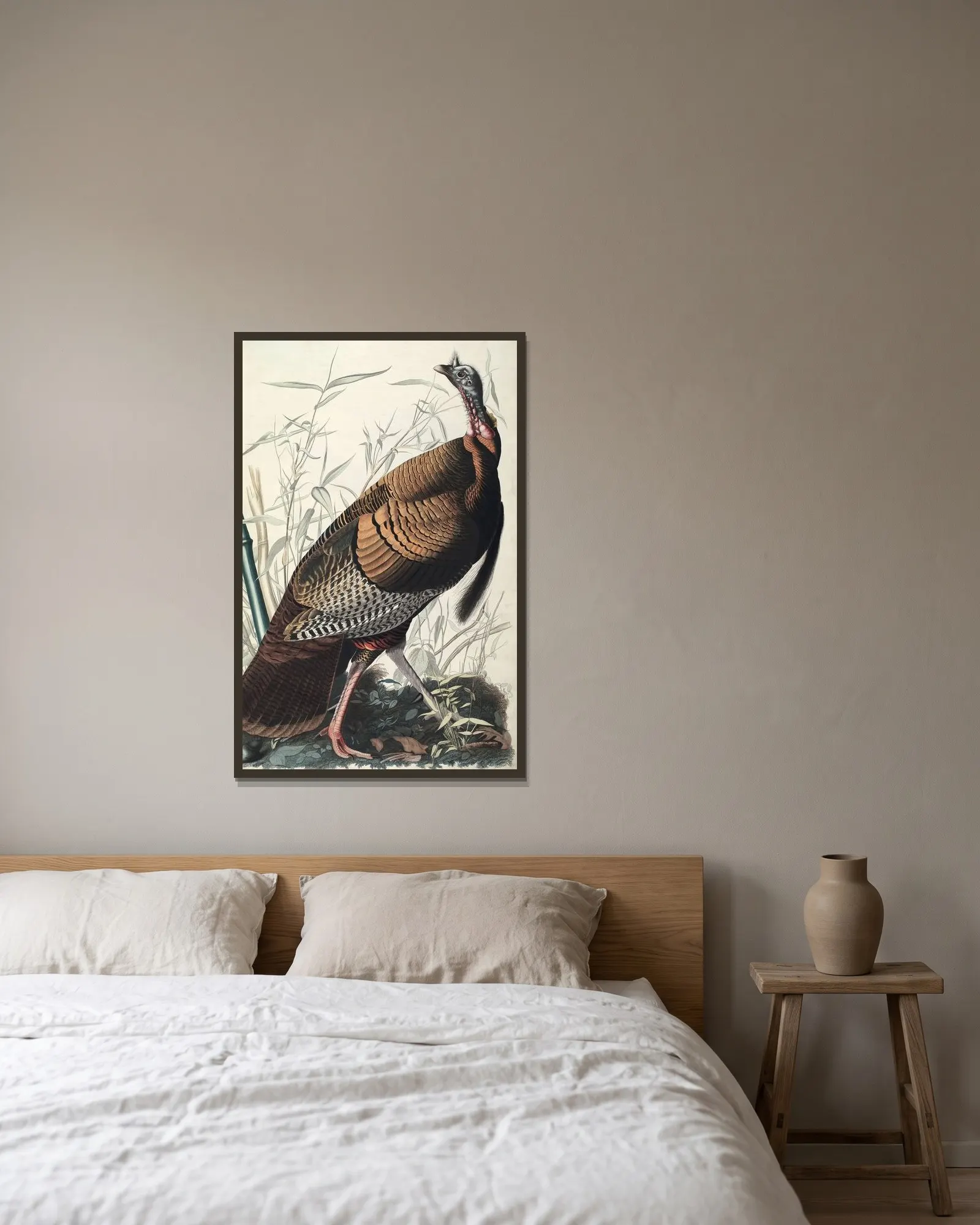 Wild Turkey, 1827 – nr 2 av John James Audubon inramad på en vägg