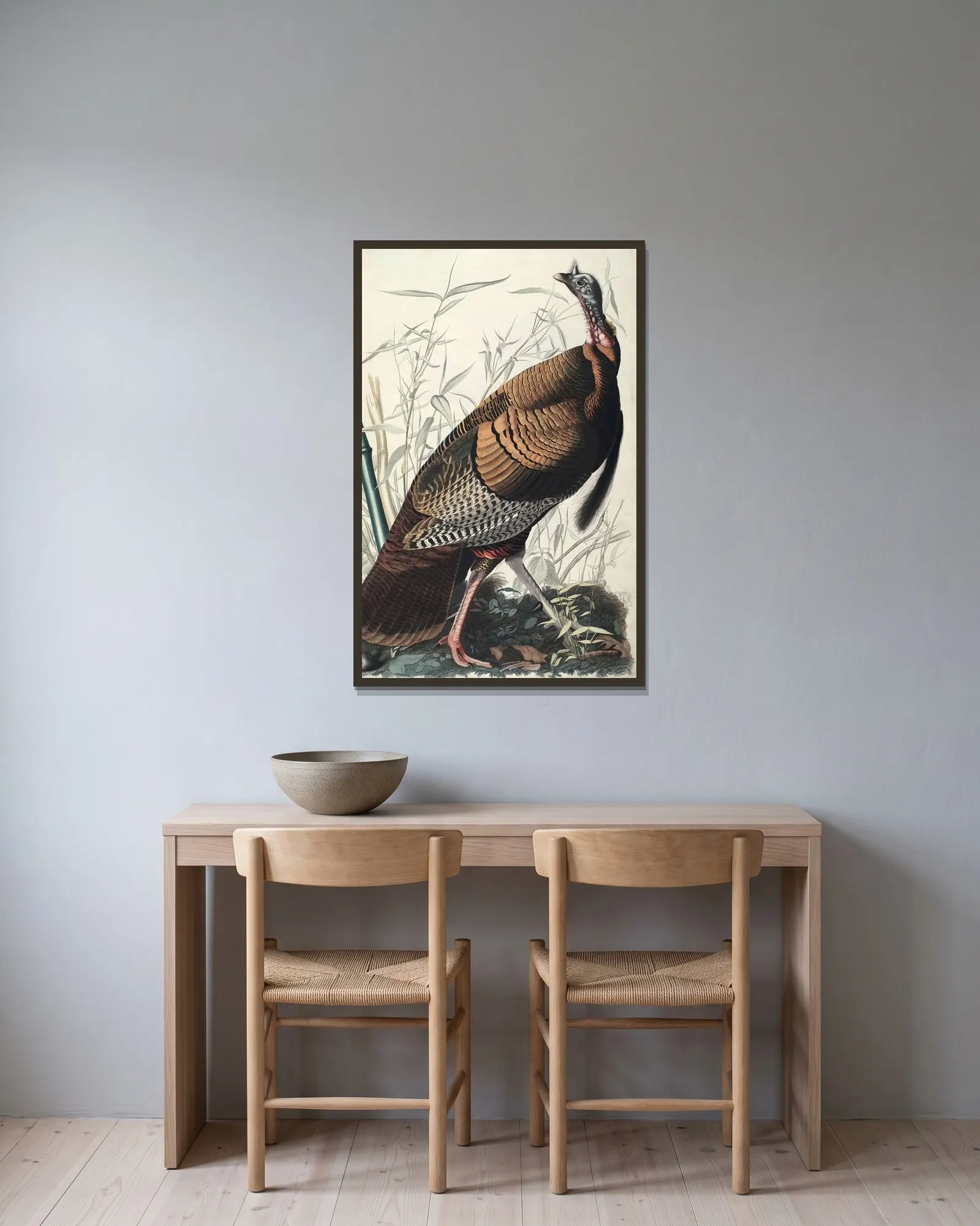 Wild Turkey, 1827 – nr 2 av John James Audubon inramad på en vägg