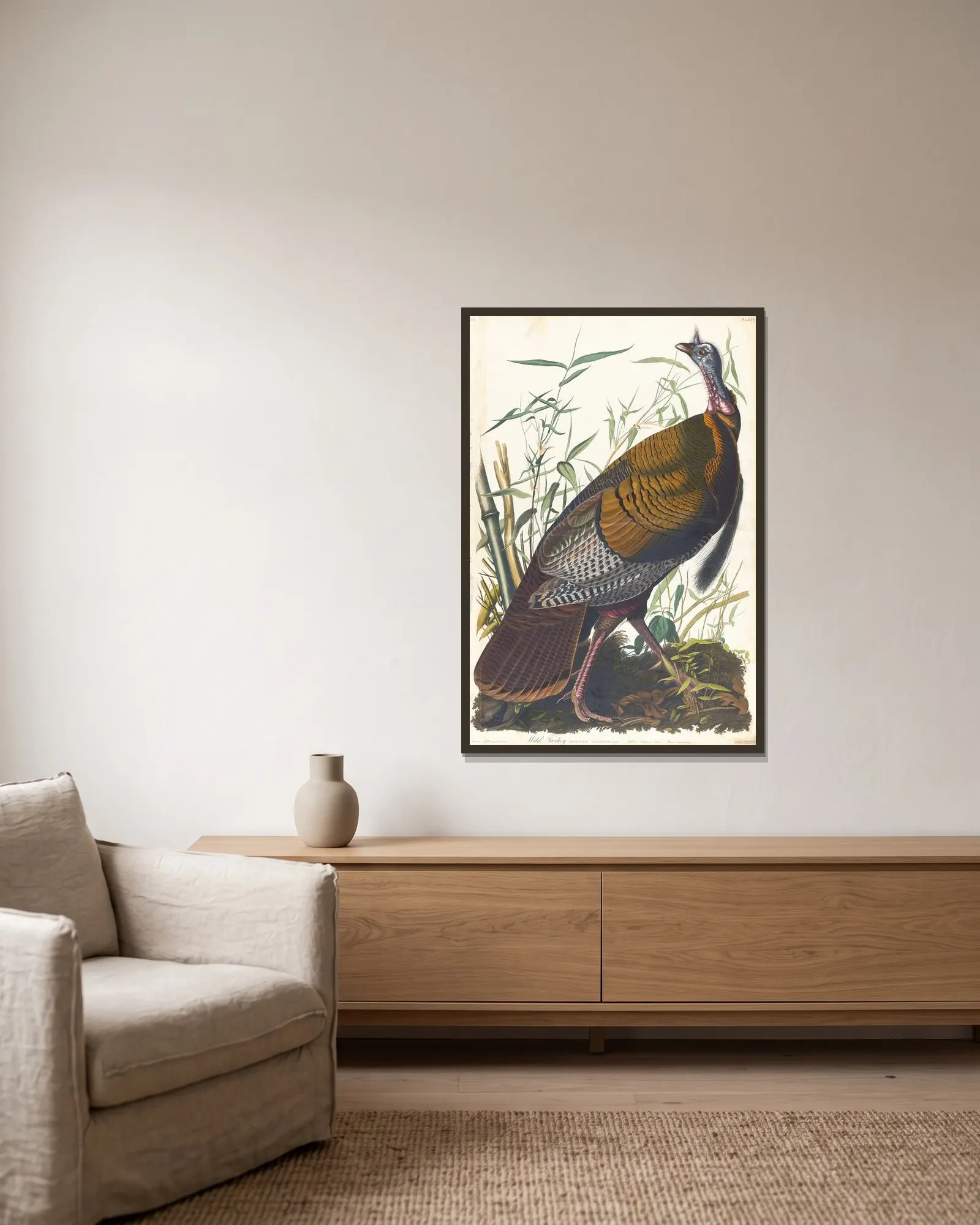 Wild turkey av John James Audubon inramad på en vägg