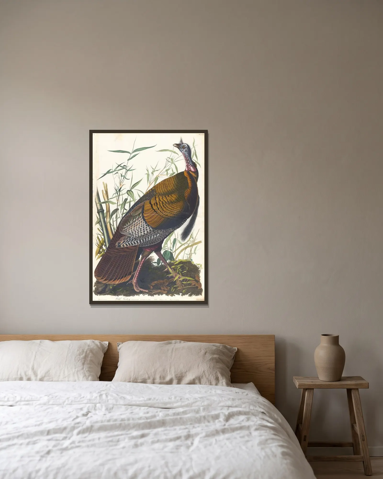 Wild turkey av John James Audubon inramad på en vägg