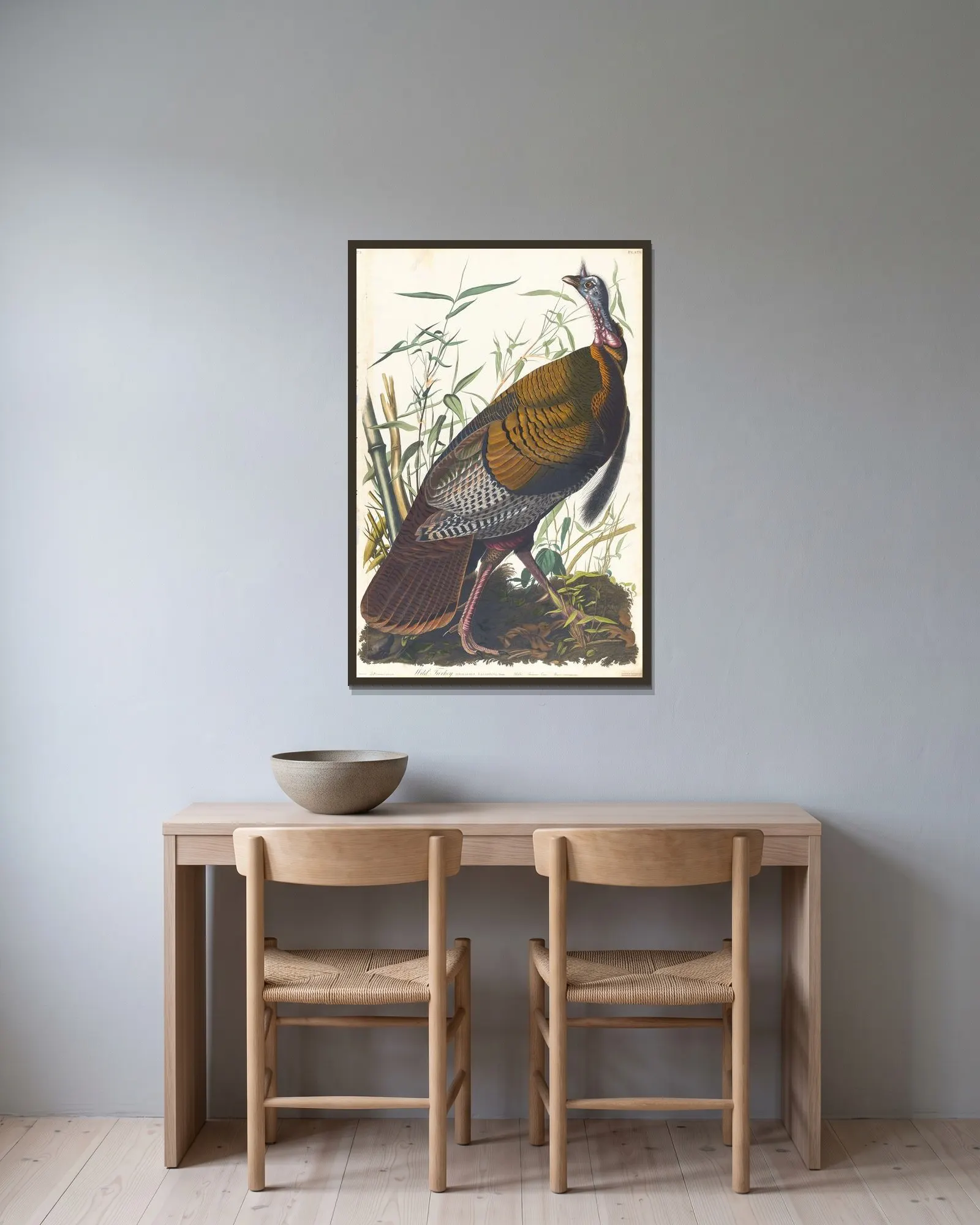Wild turkey av John James Audubon inramad på en vägg