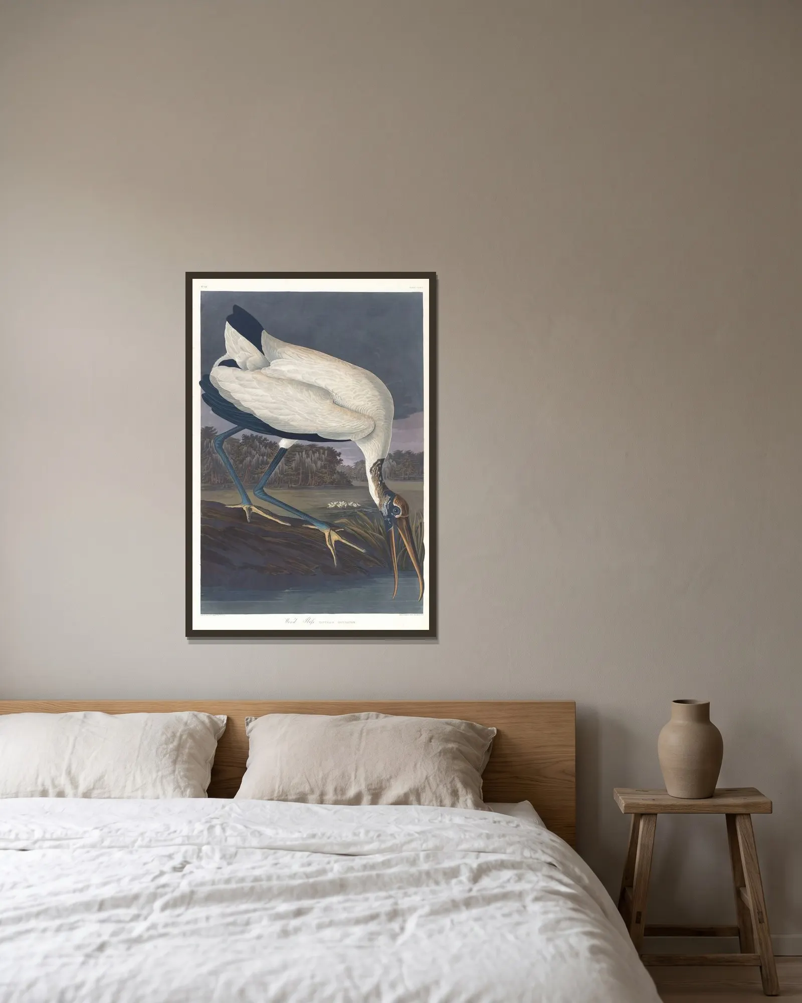 Wood ibis av John James Audubon inramad på en vägg