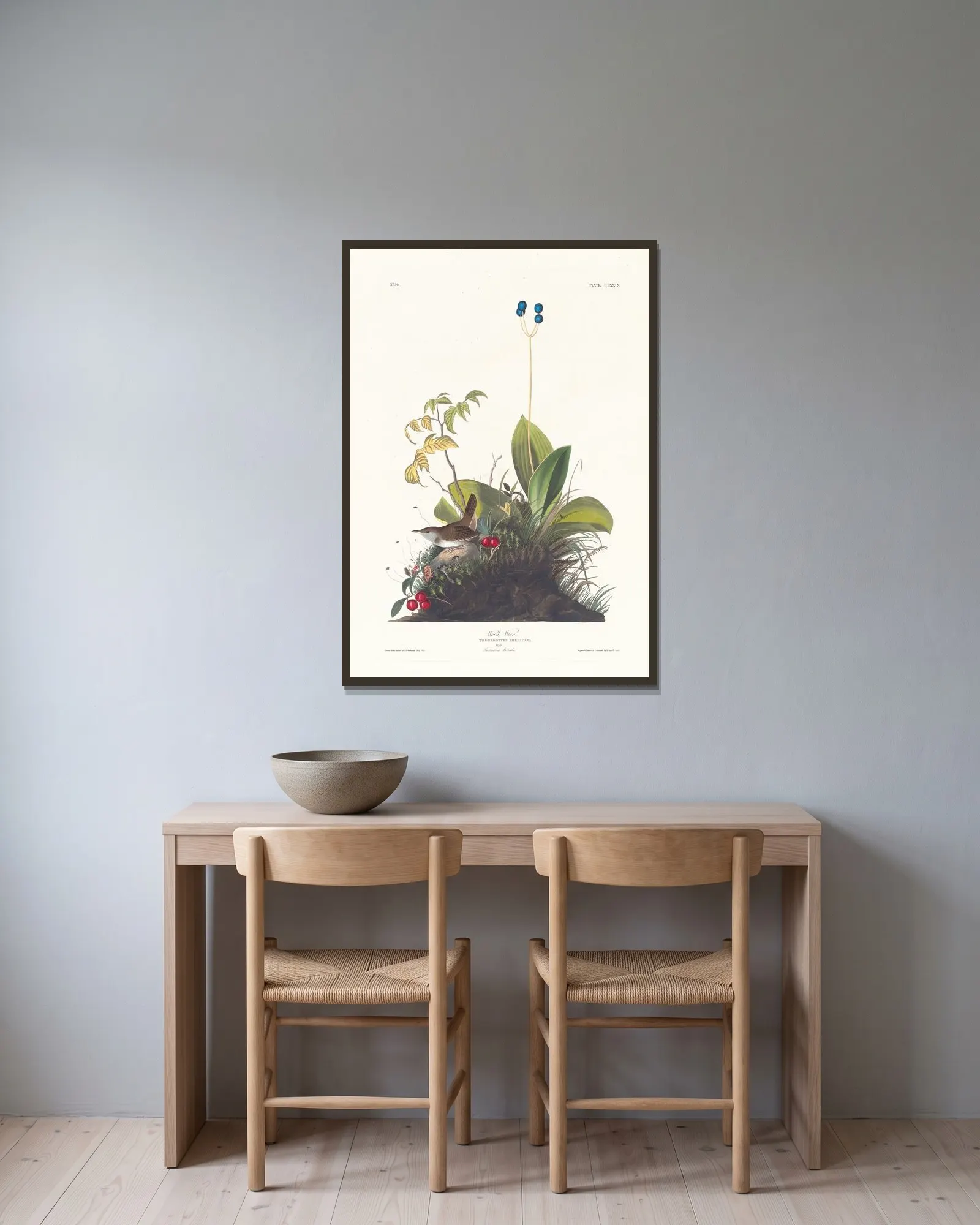 Wood wren av John James Audubon inramad på en vägg