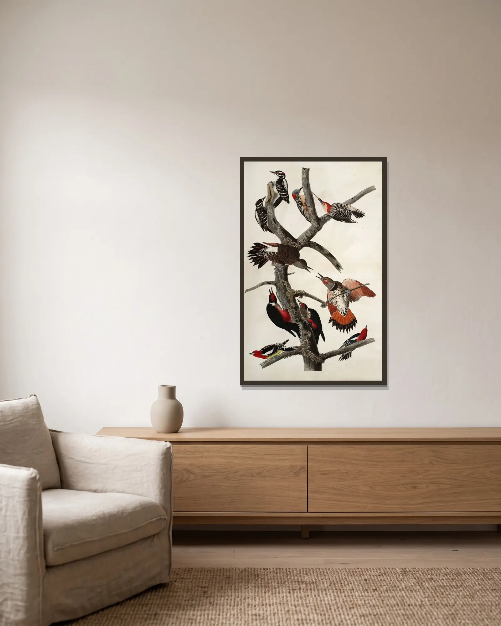 Woodpeckers av John James Audubon inramad på en vägg