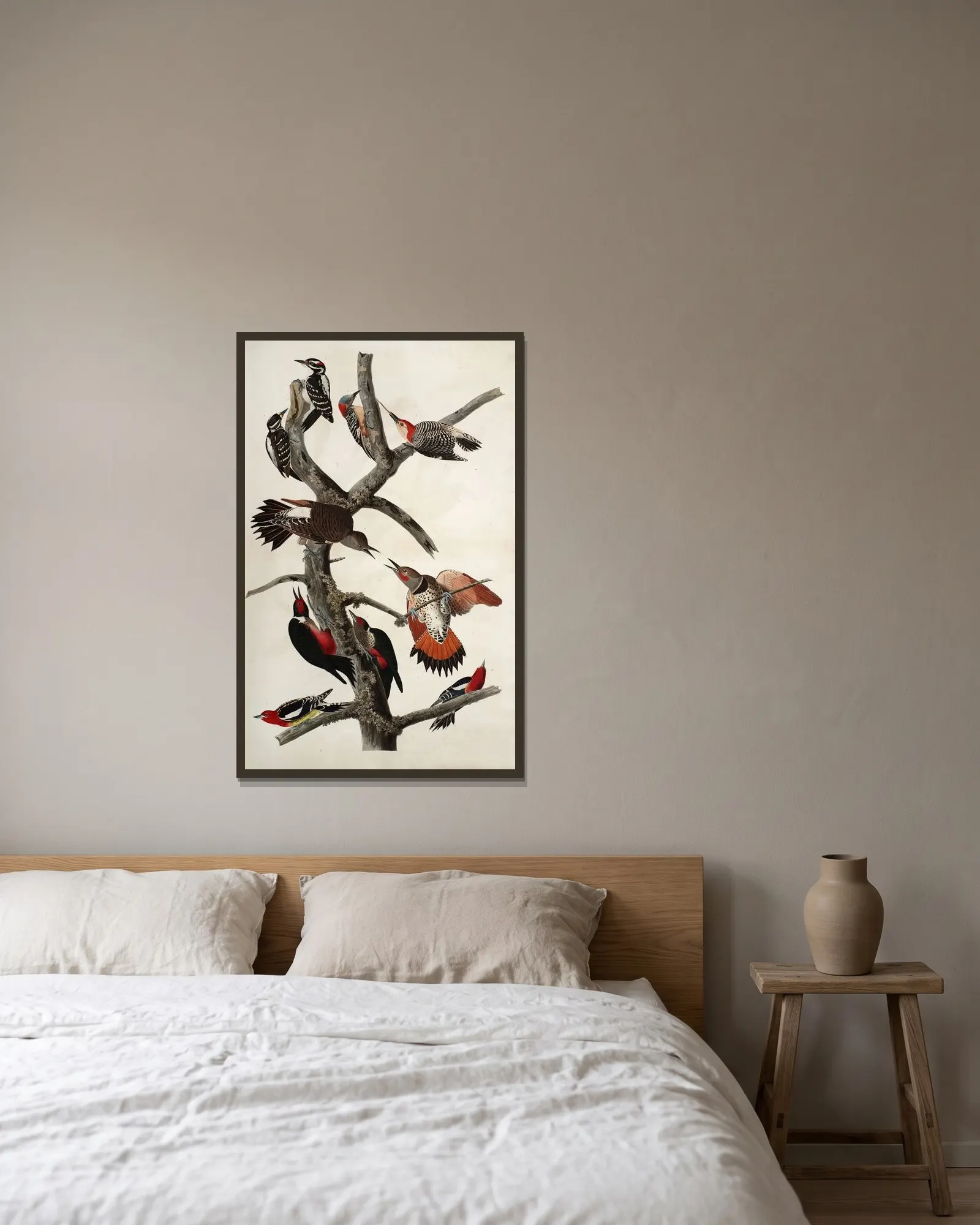 Woodpeckers av John James Audubon inramad på en vägg