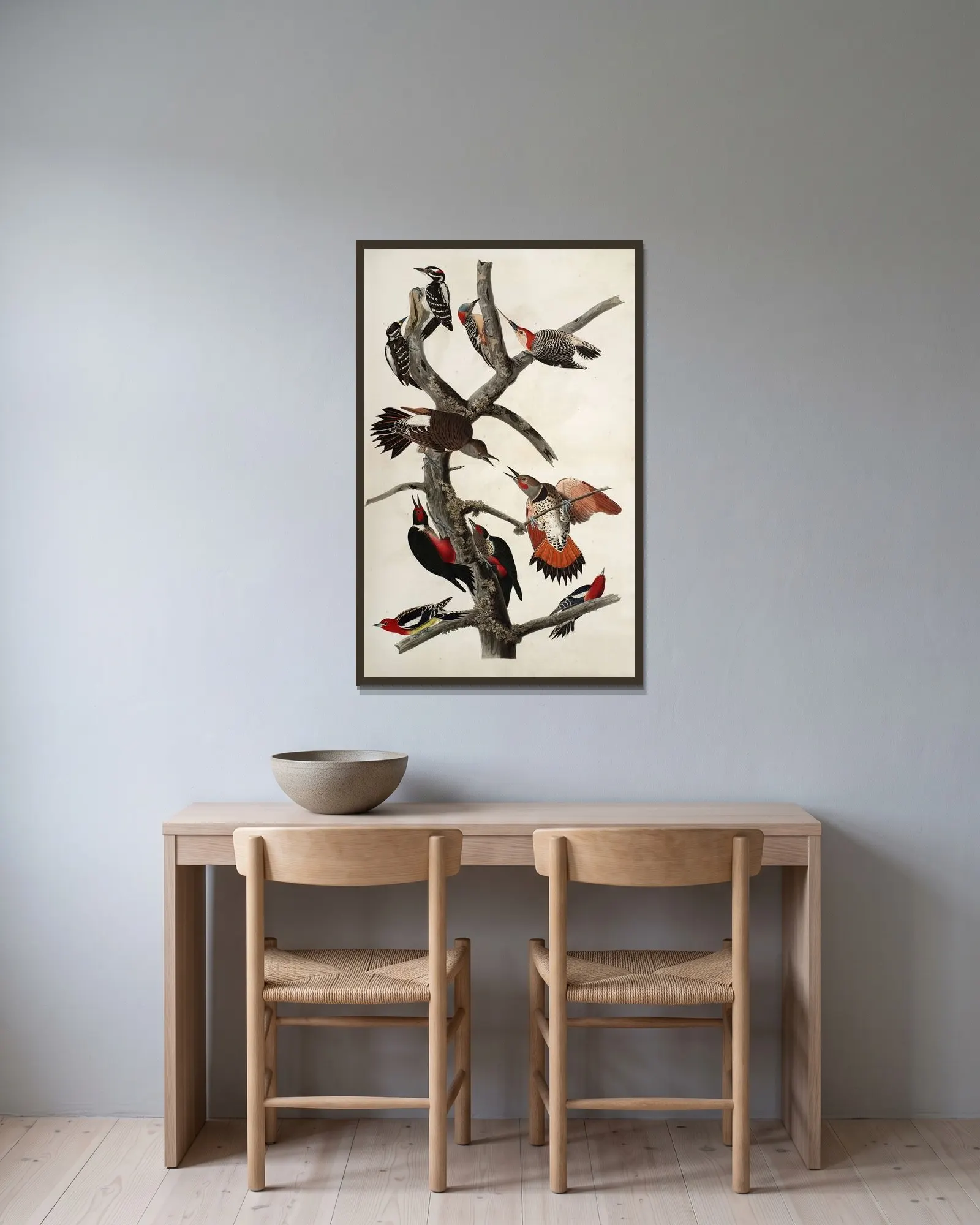 Woodpeckers av John James Audubon inramad på en vägg