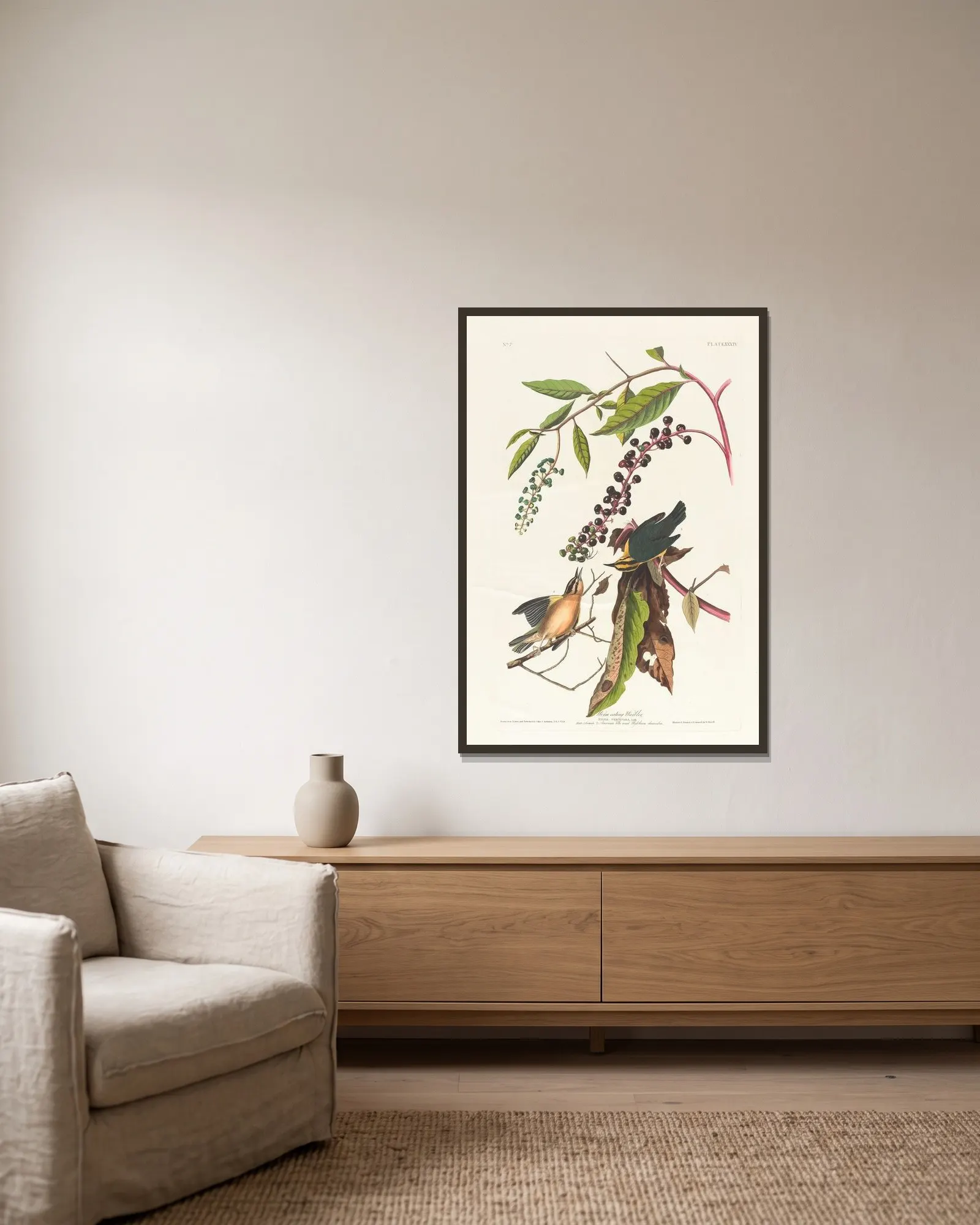 Worm eating warbler av John James Audubon inramad på en vägg