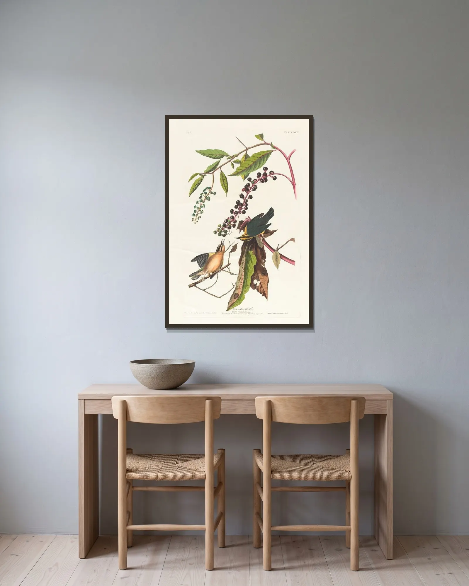 Worm eating warbler av John James Audubon inramad på en vägg