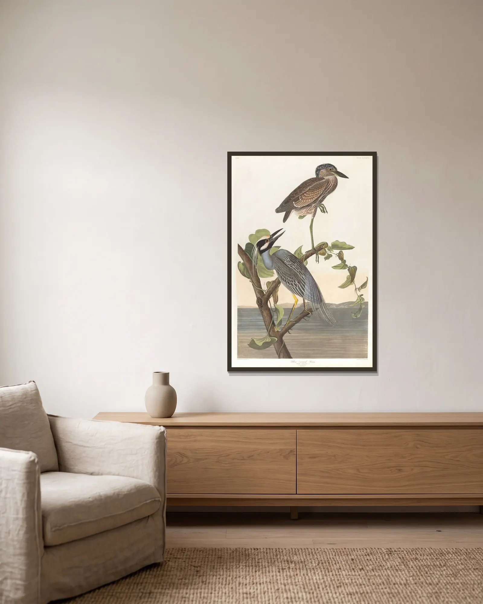 Yellow-crowned heron av John James Audubon inramad på en vägg