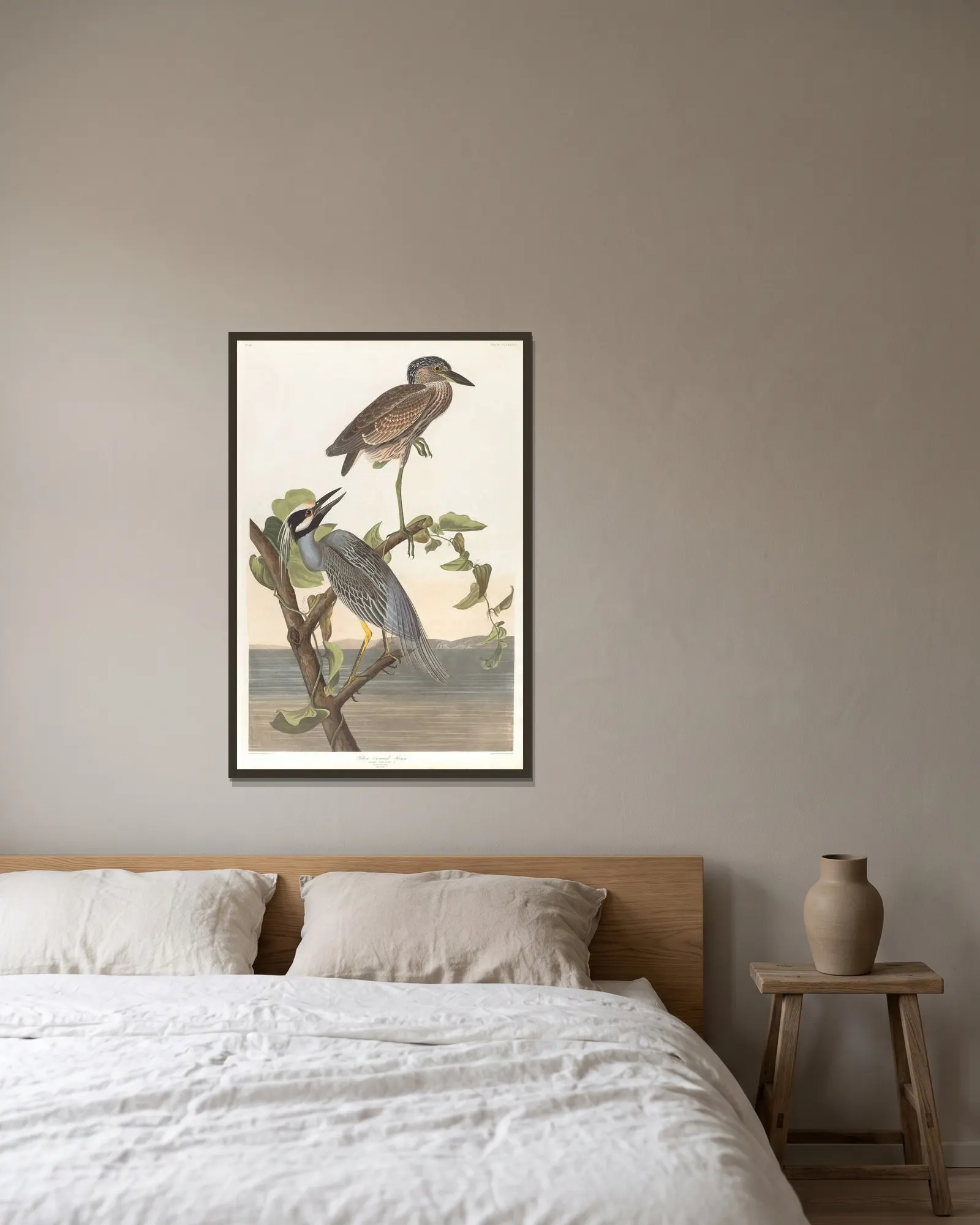 Yellow-crowned heron av John James Audubon inramad på en vägg