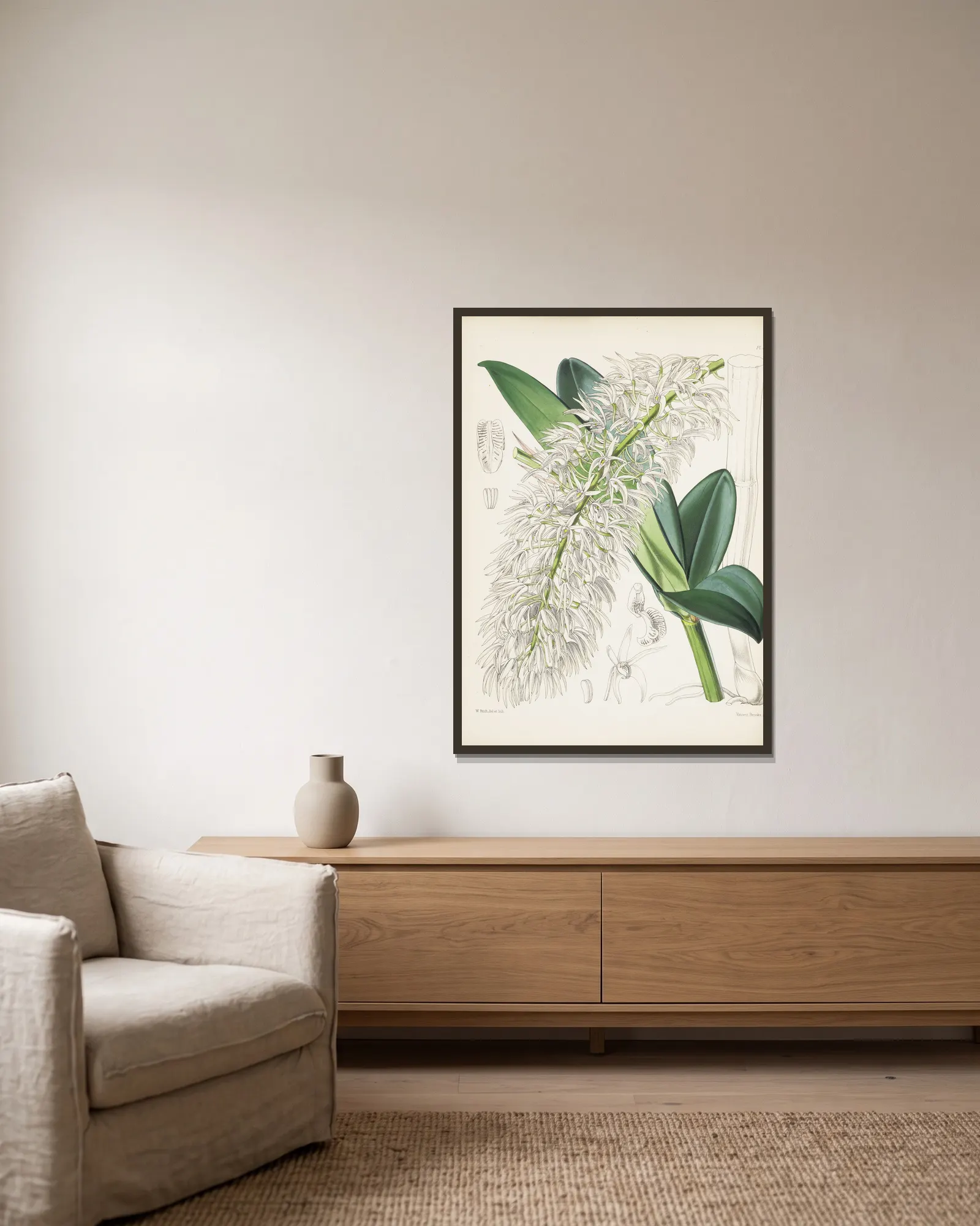 Mr. Hill’s Dendrobium (Dendrobium hillii) av James Bateman inramad på en vägg