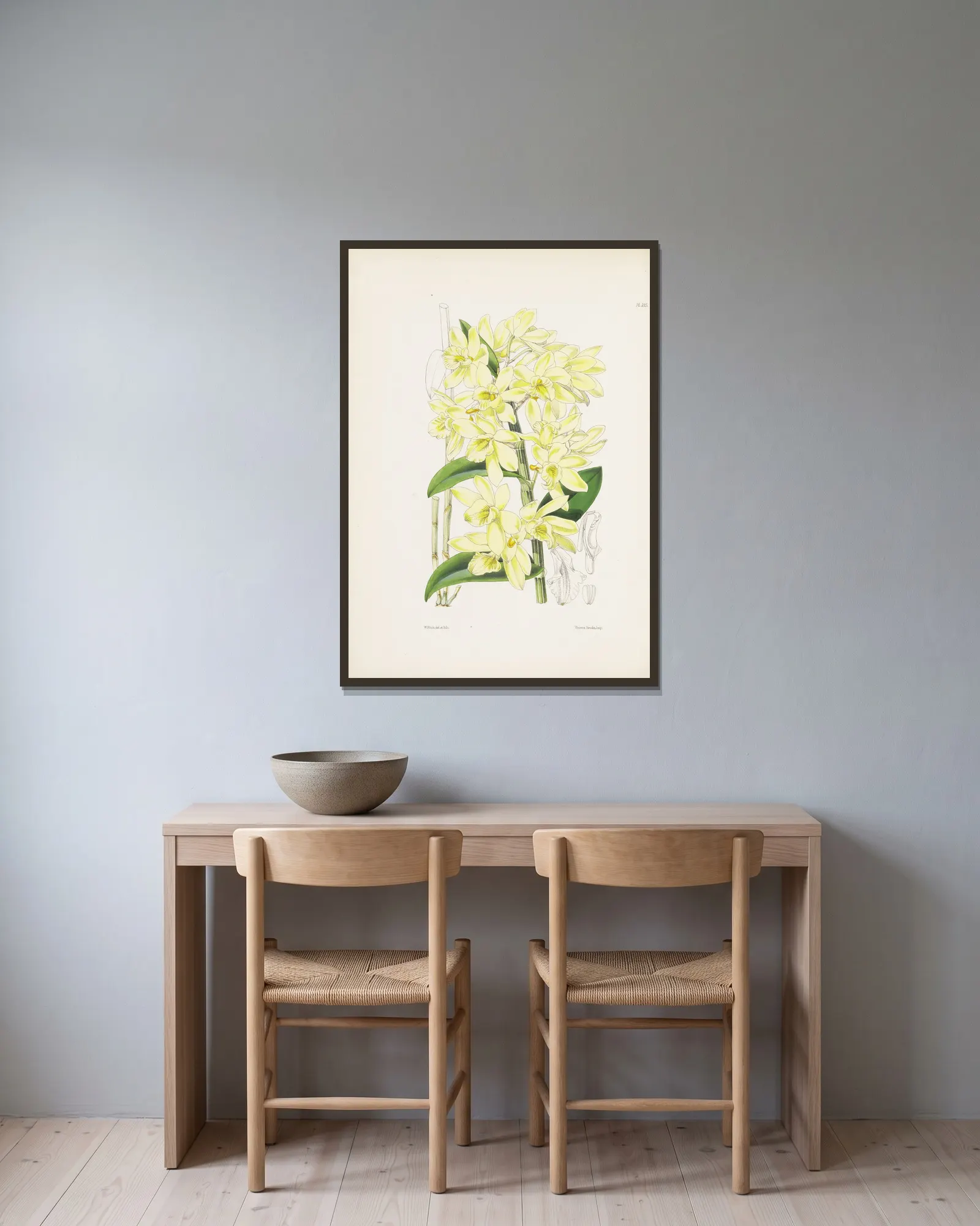 Pale yellowish-flowered Dendrobium (Dendrobium luteolum) av James Bateman inramad på en vägg