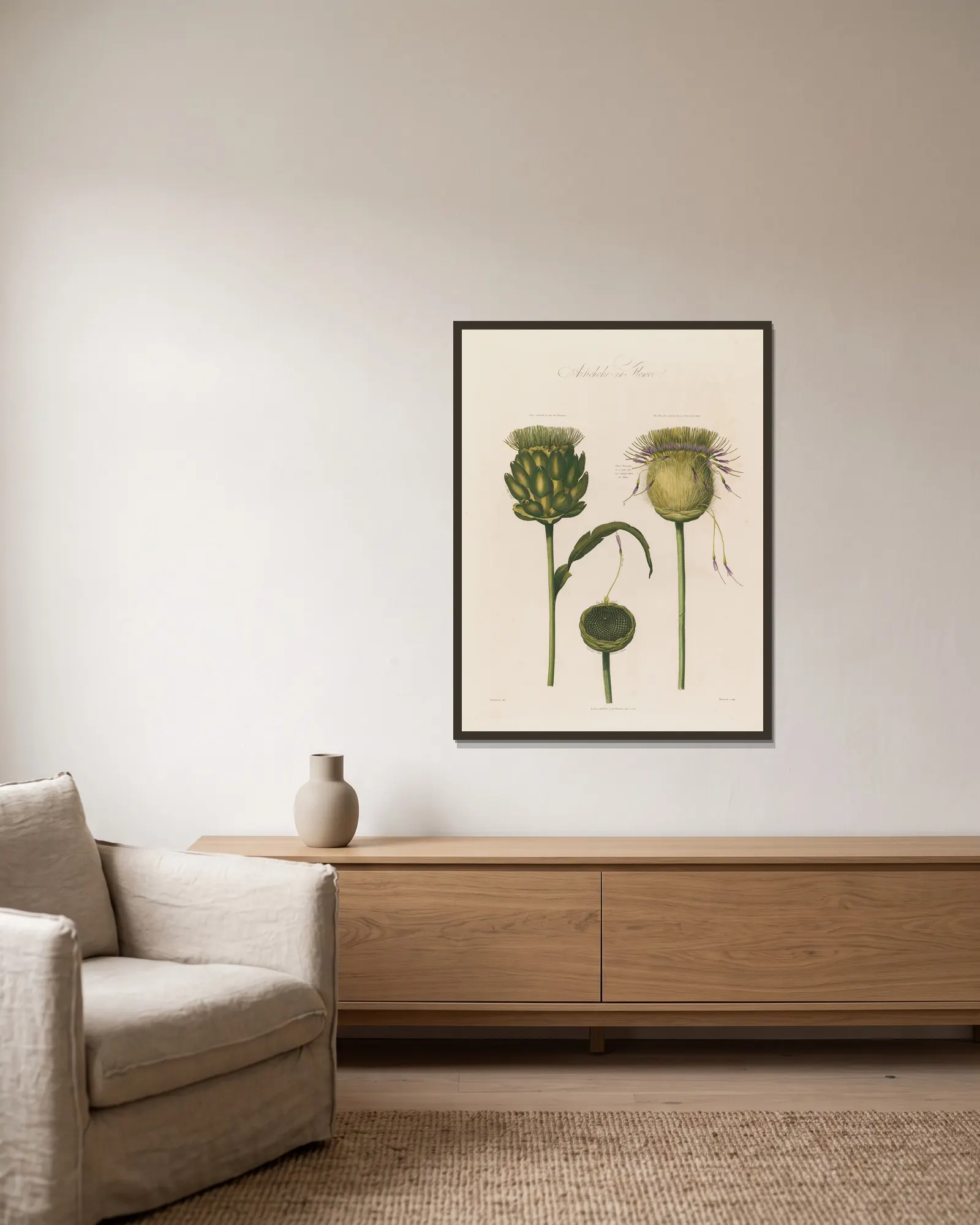 Artichoke in Flower av Robert John Thornton inramad på en vägg