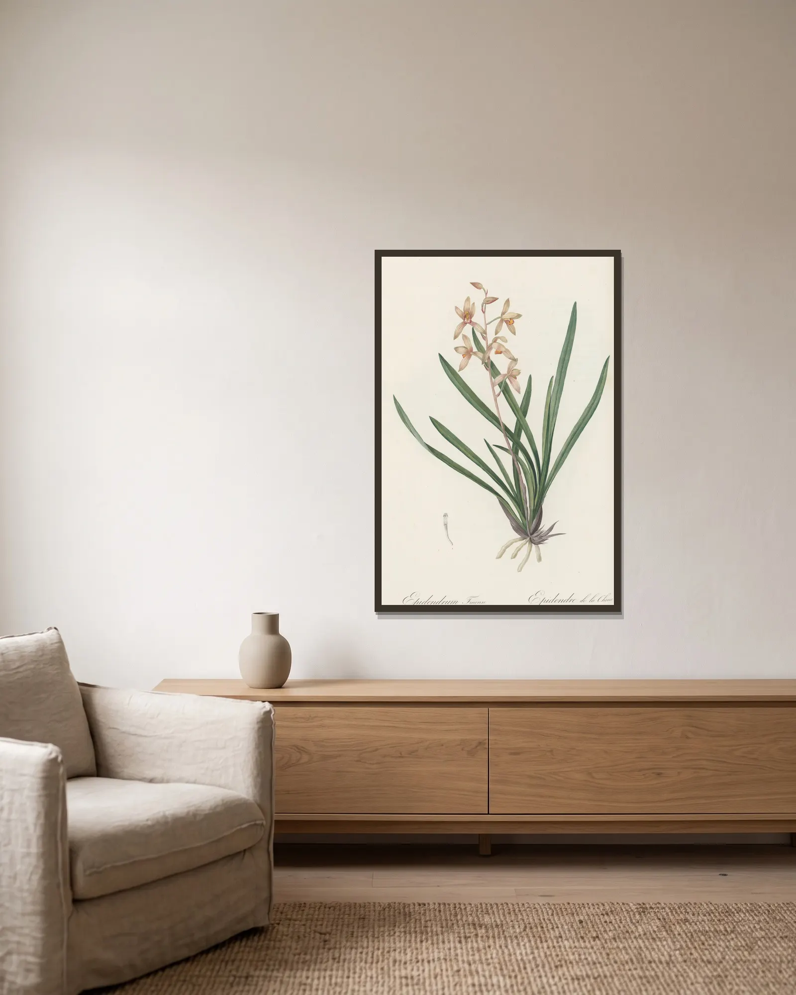Epidendrum sinense av Pierre Joseph Redouté inramad på en vägg