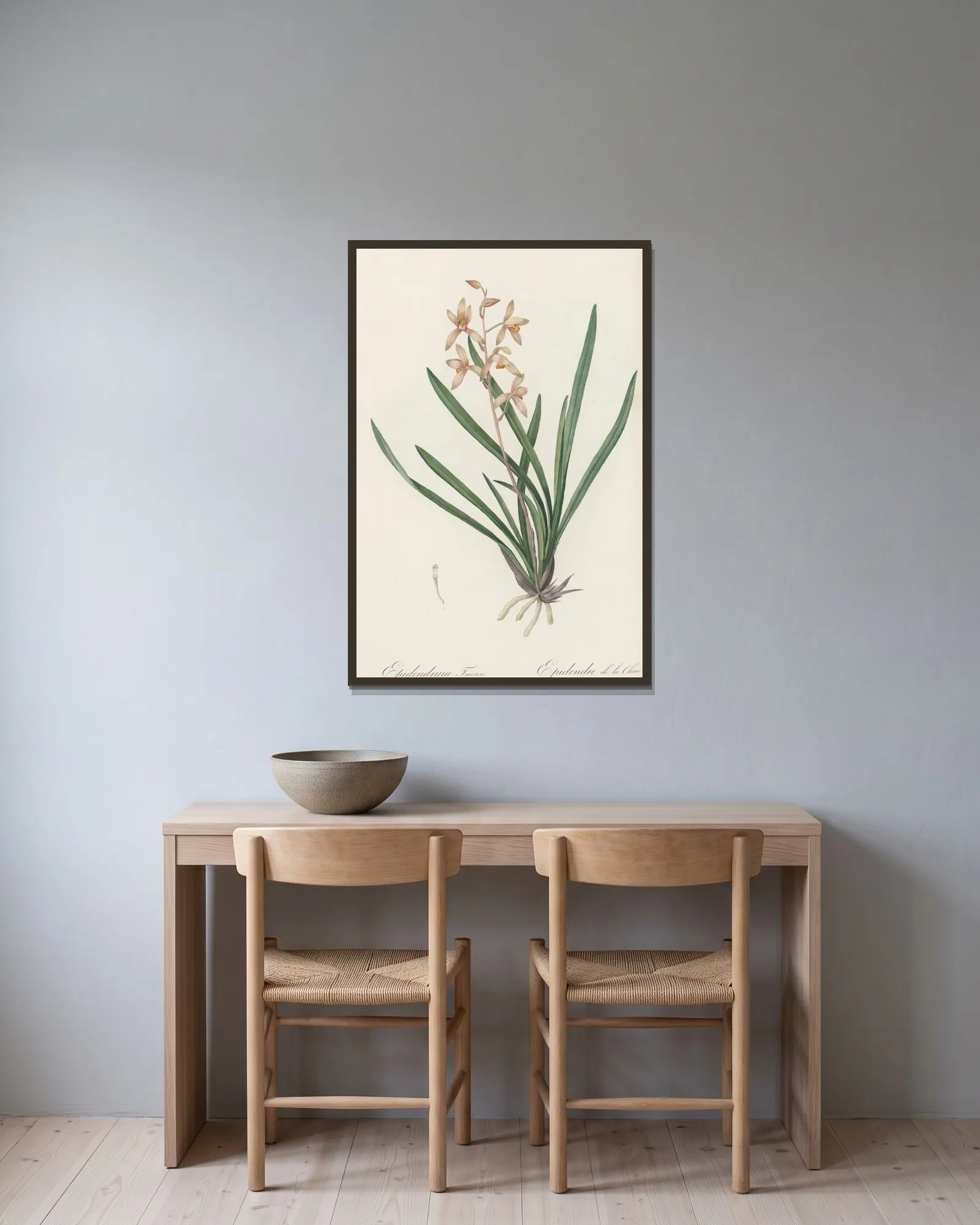 Epidendrum sinense av Pierre Joseph Redouté inramad på en vägg