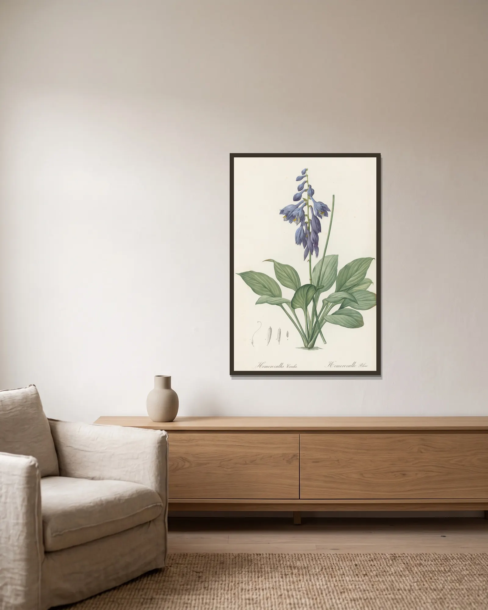 Hemerocallis Caerulea av Pierre Joseph Redouté inramad på en vägg