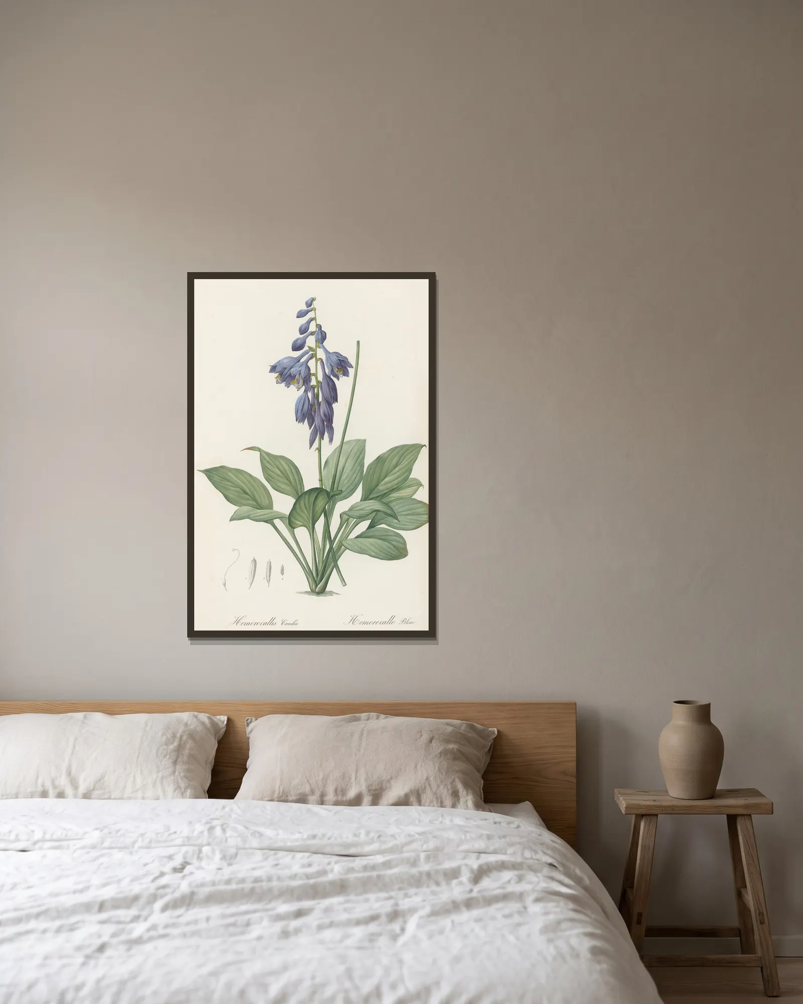 Hemerocallis Caerulea av Pierre Joseph Redouté inramad på en vägg