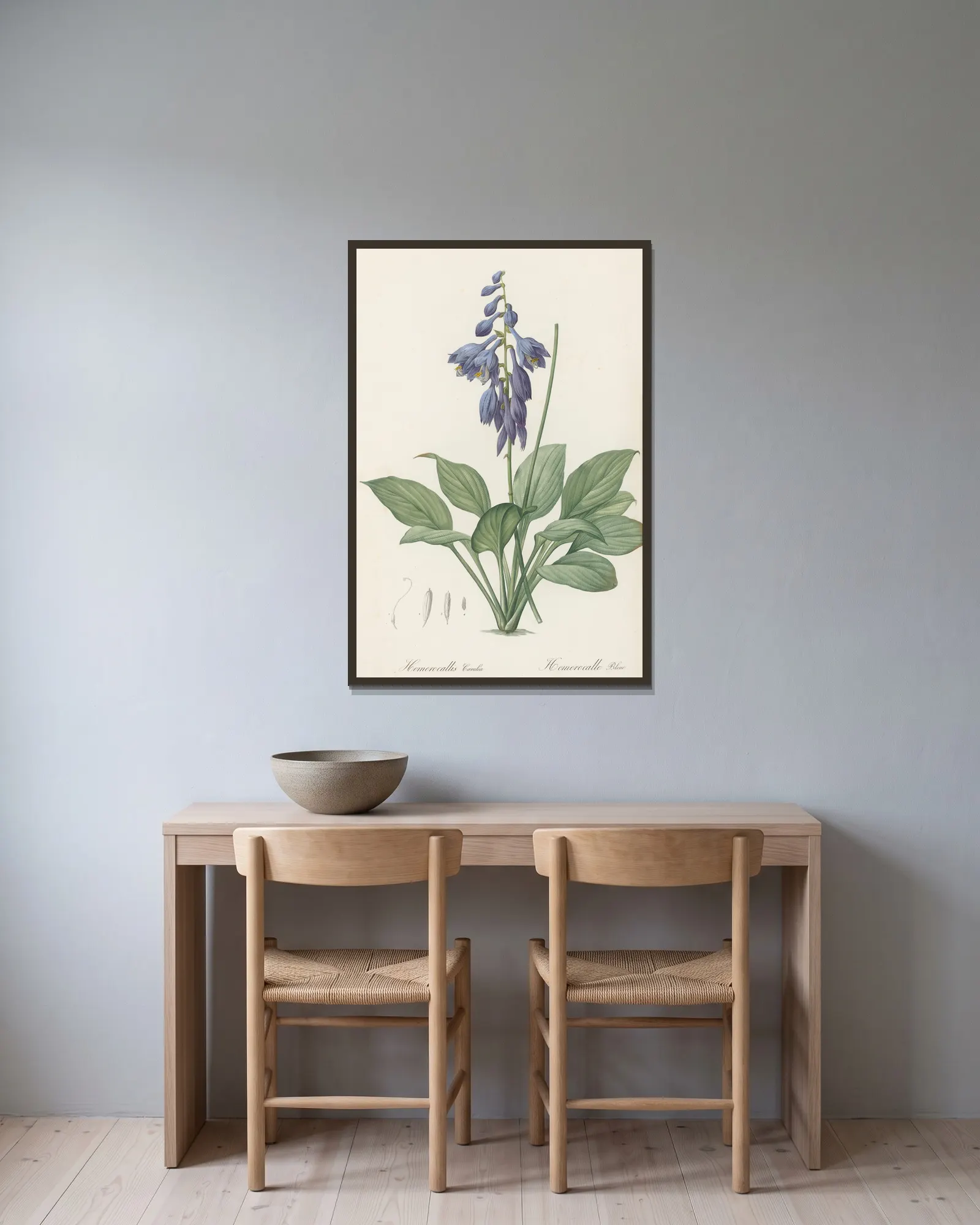 Hemerocallis Caerulea av Pierre Joseph Redouté inramad på en vägg
