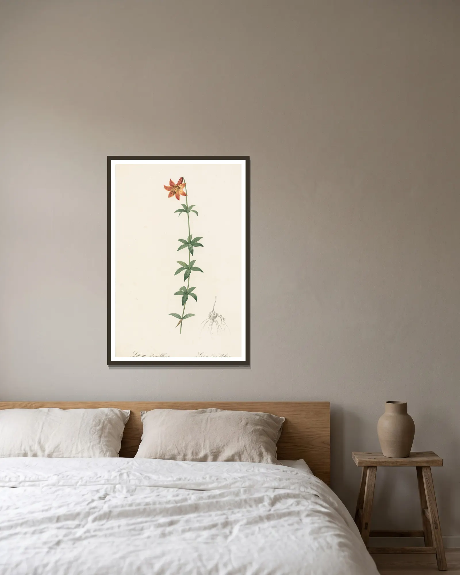 Lilium penduliflorum av Pierre Joseph Redouté inramad på en vägg
