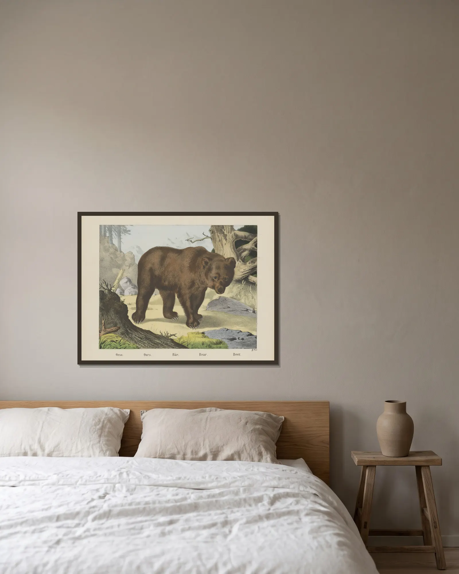 Bear av Joseph Scholz inramad på en vägg