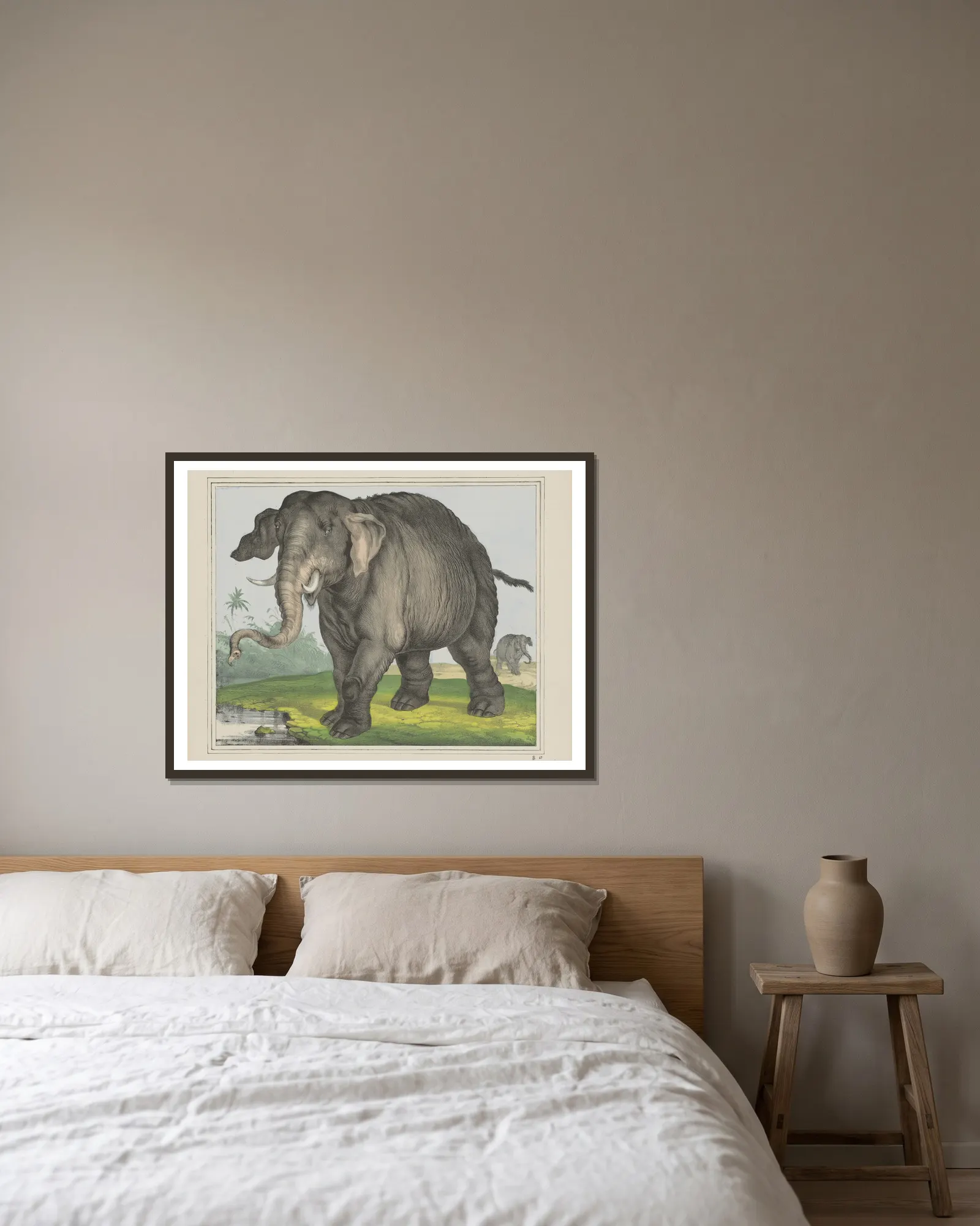 Elephant av Joseph Scholz inramad på en vägg