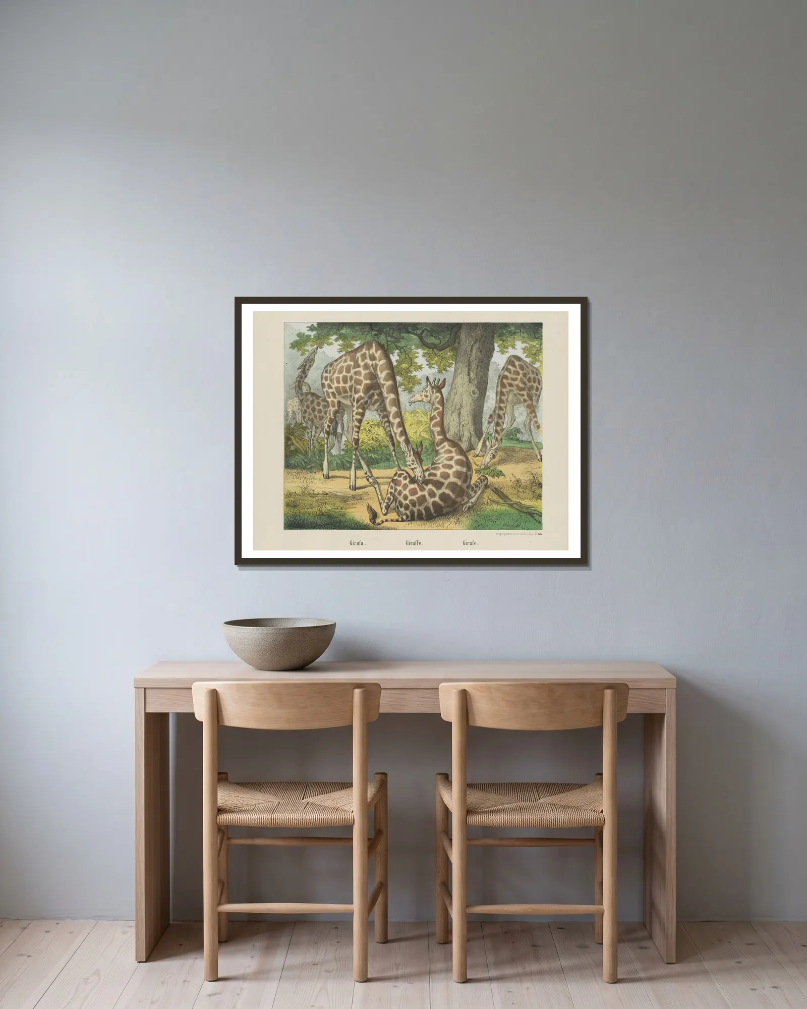 Giraffe av Joseph Scholz inramad på en vägg