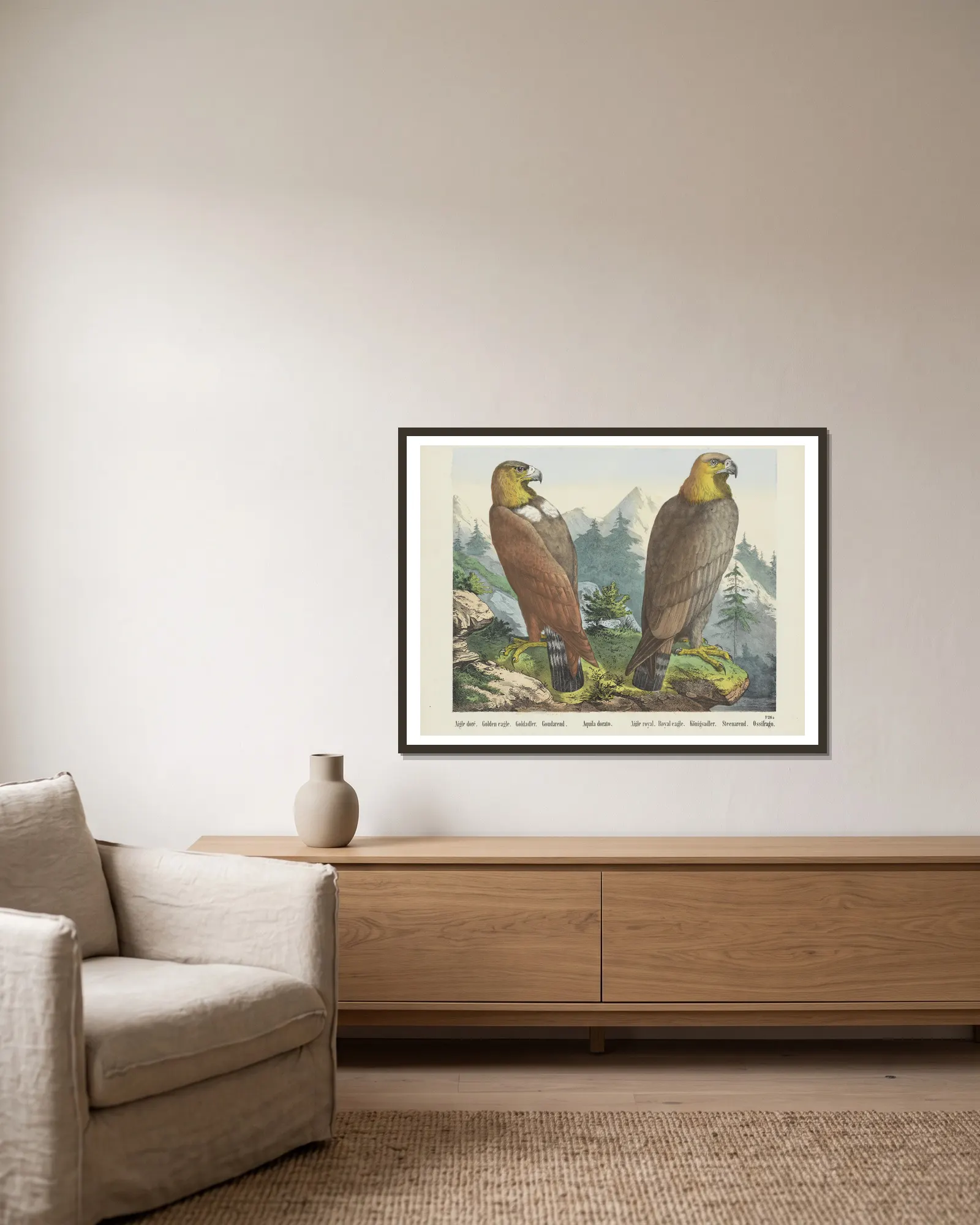 Golden eagle av Joseph Scholz inramad på en vägg