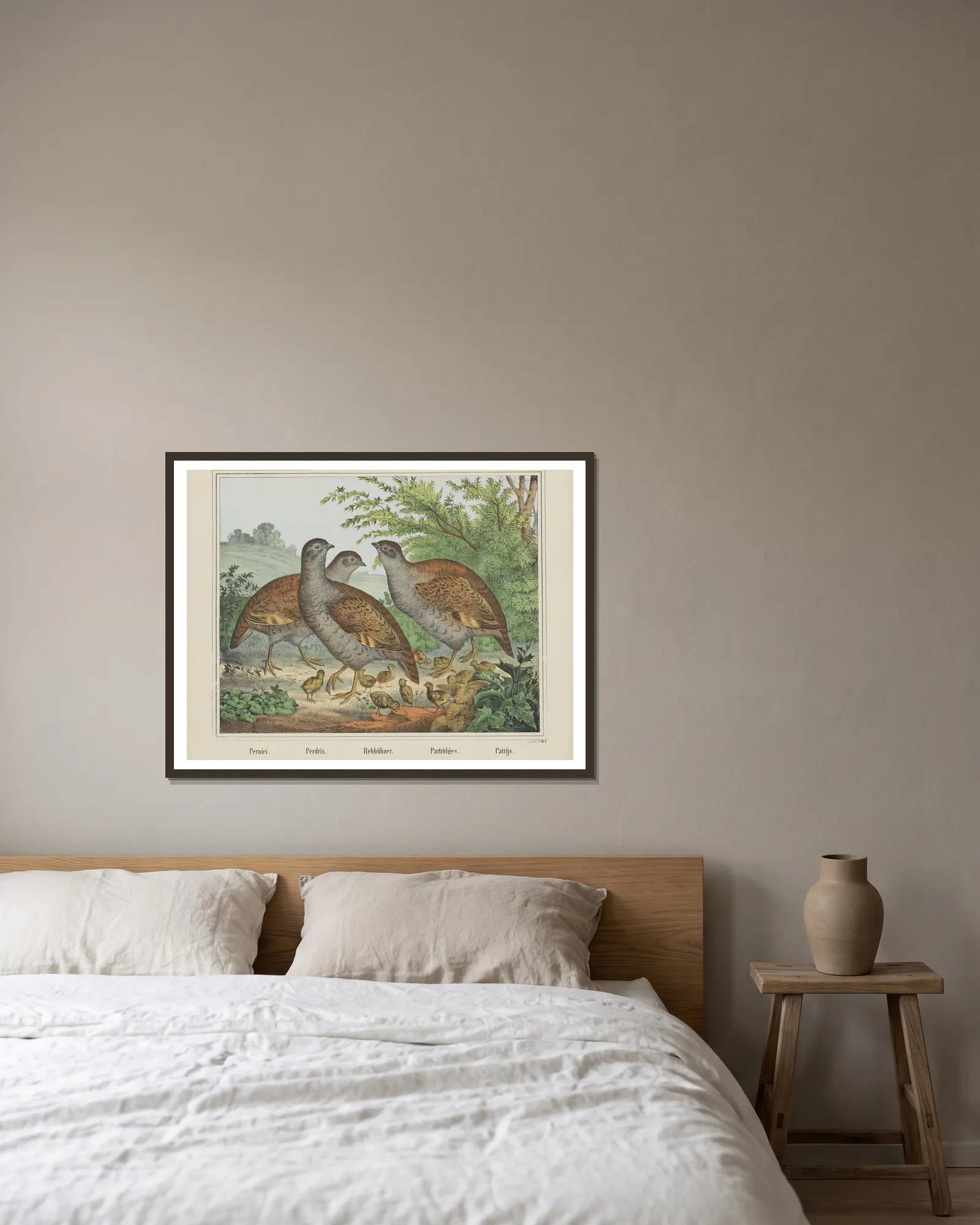 Partridges av Joseph Scholz inramad på en vägg