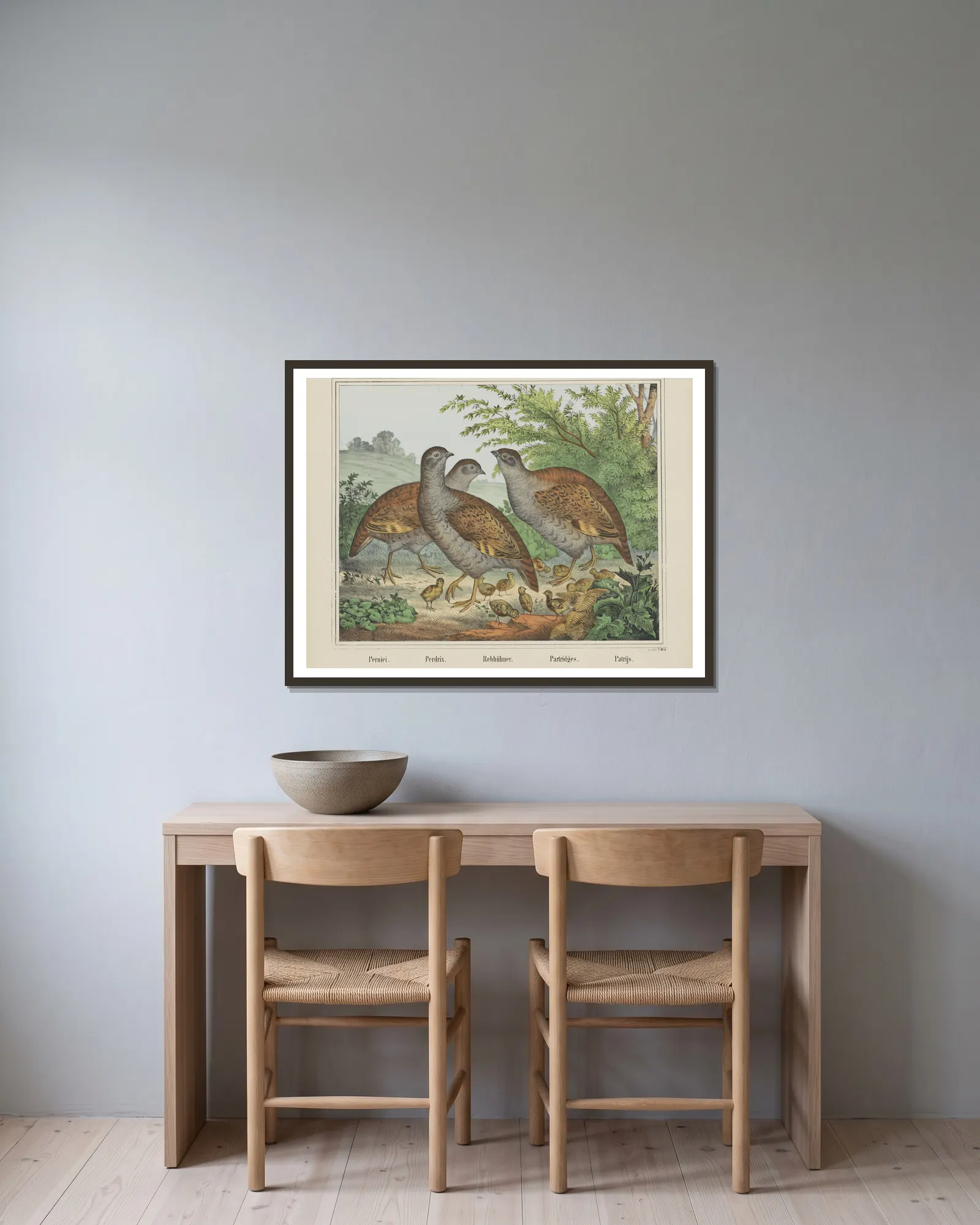Partridges av Joseph Scholz inramad på en vägg