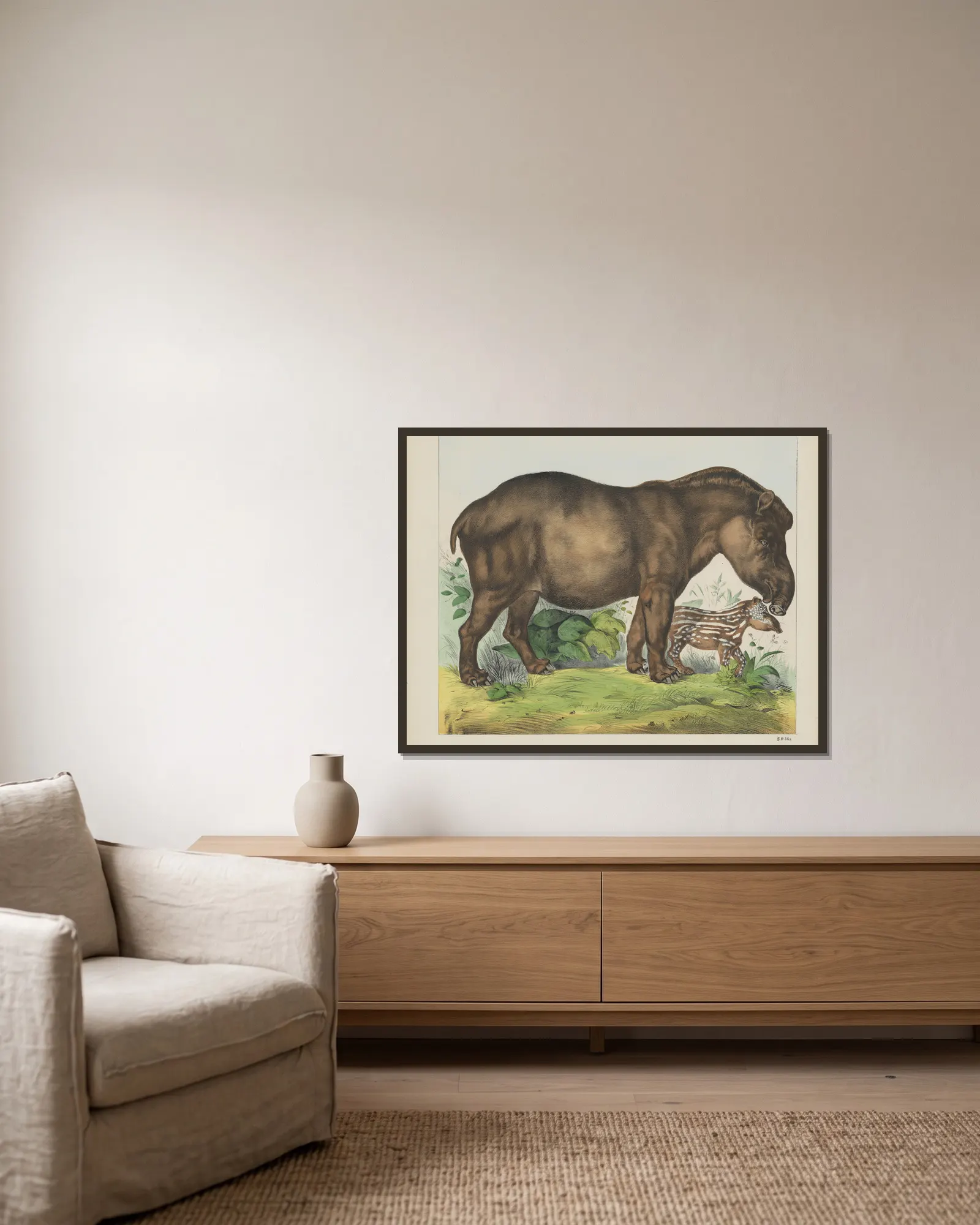 Tapir av Joseph Scholz inramad på en vägg