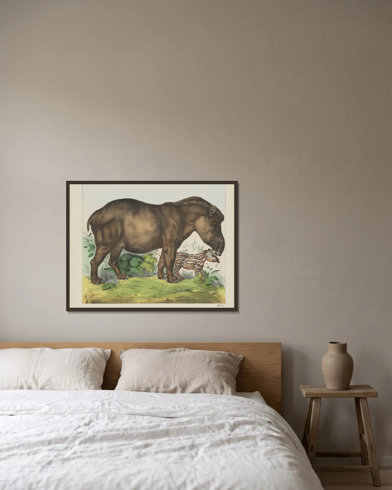 Tapir av Joseph Scholz inramad på en vägg